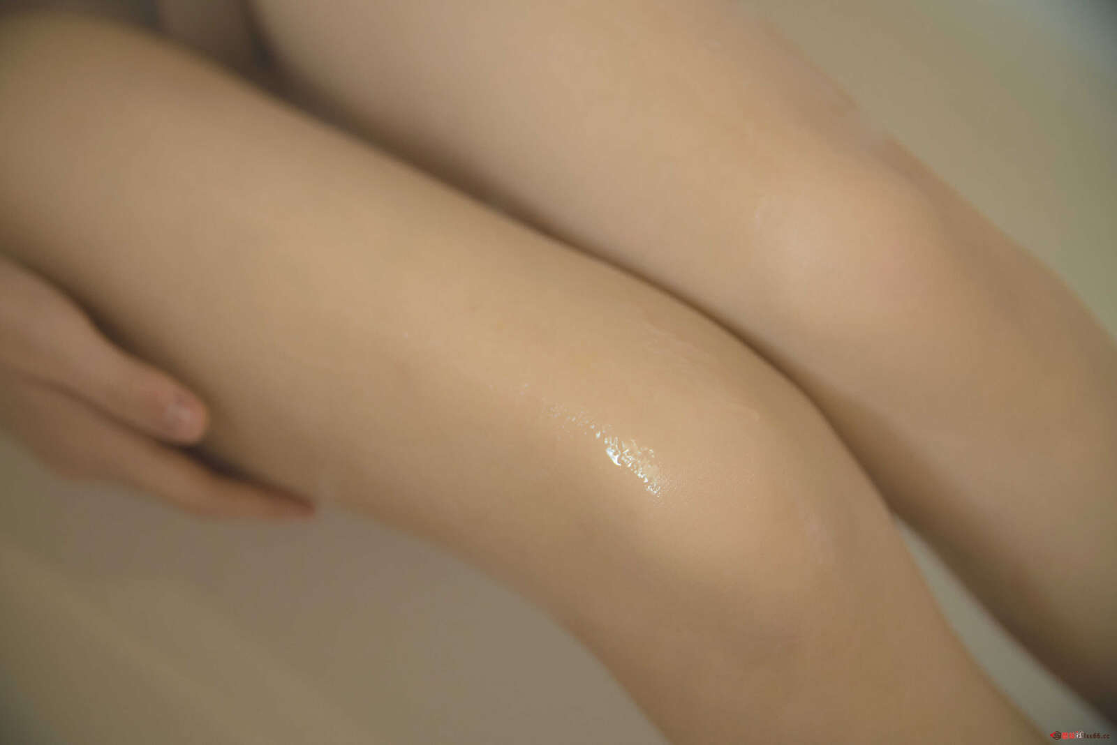 https://www.lss77.com/wp-content/uploads/2020/12/a-38-1600x1068.jpg
