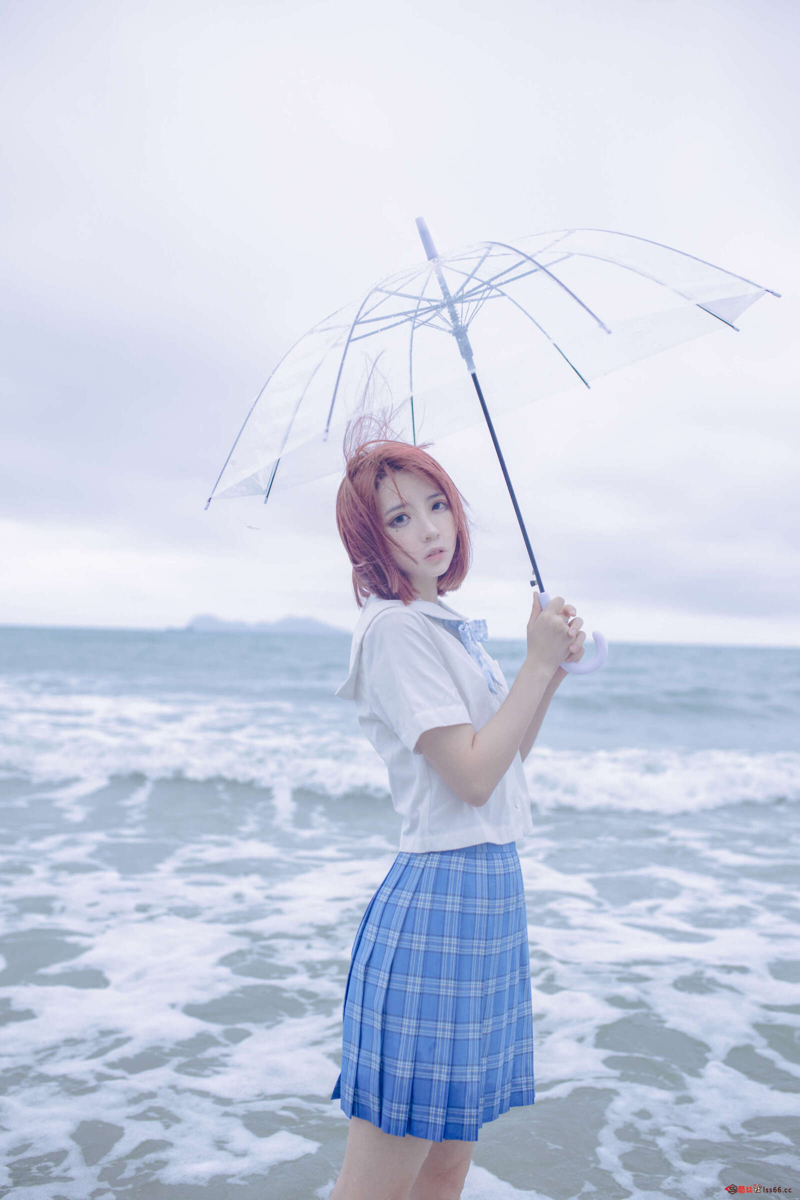 https://www.lss77.com/wp-content/uploads/2020/12/cover-146-1600x2400.jpg