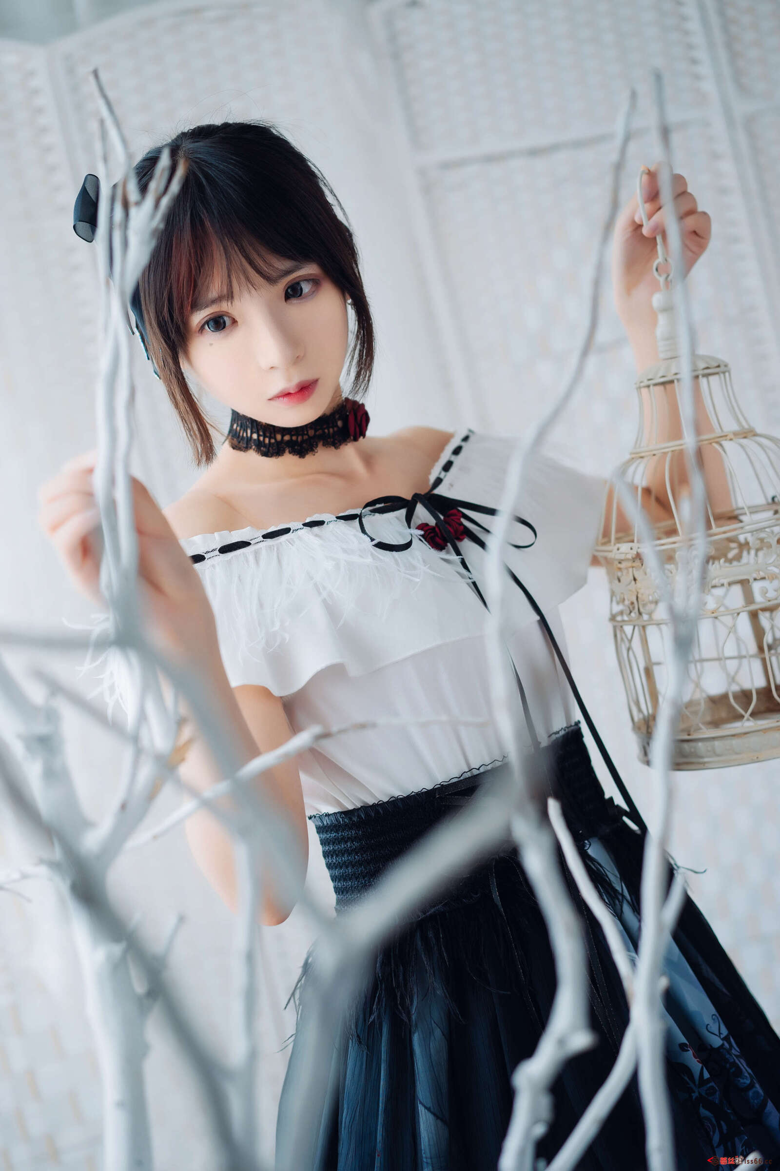 https://www.lss77.com/wp-content/uploads/2020/12/cover-189-1600x2400.jpg