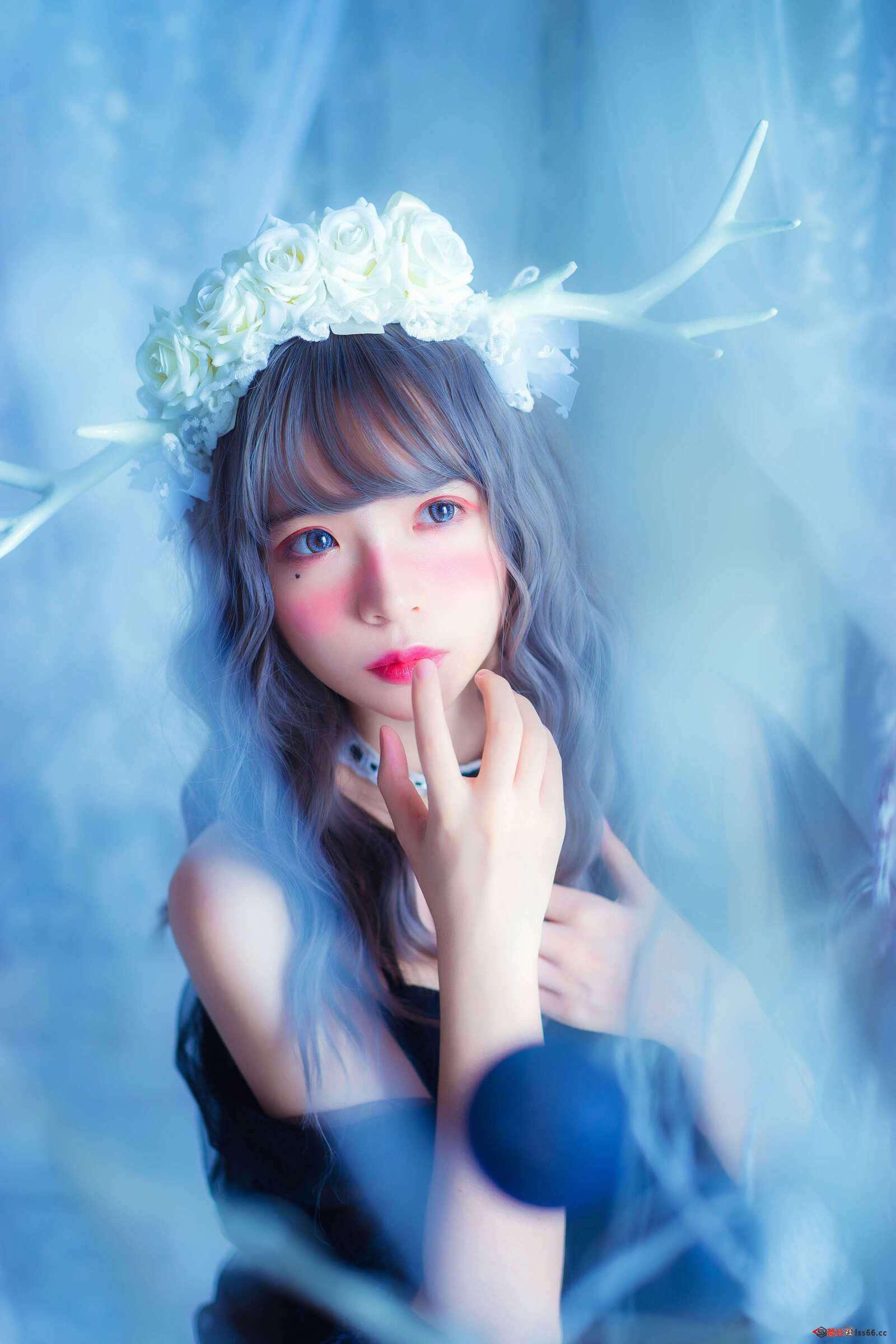 https://www.lss77.com/wp-content/uploads/2020/12/cover-233-1600x2400.jpg