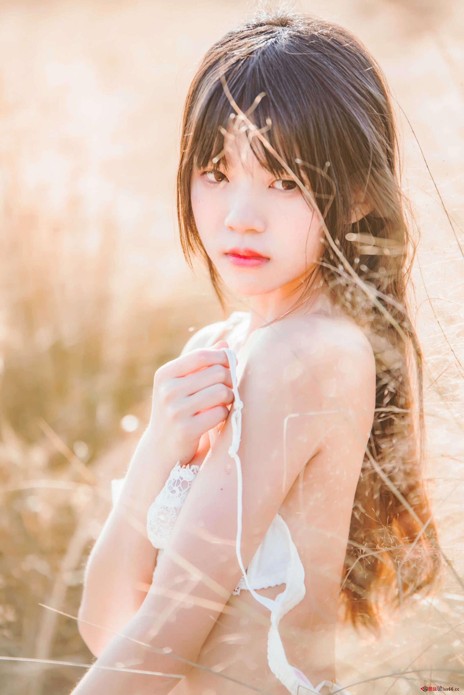 https://www.lss77.com/wp-content/uploads/2020/12/cover-630-1600x2398.jpg