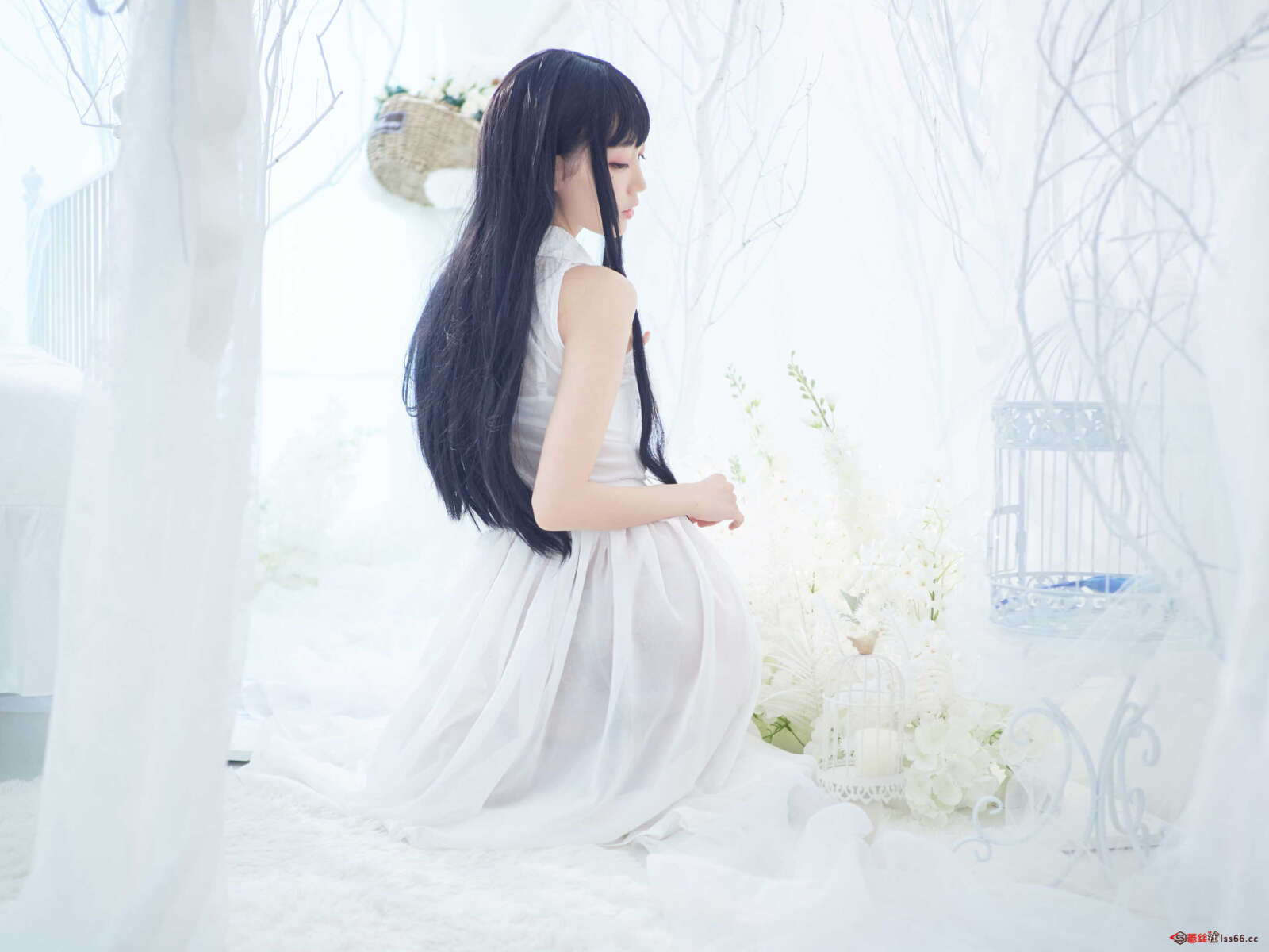 https://www.lss77.com/wp-content/uploads/2020/12/lss-1-155-1600x1200.jpg
