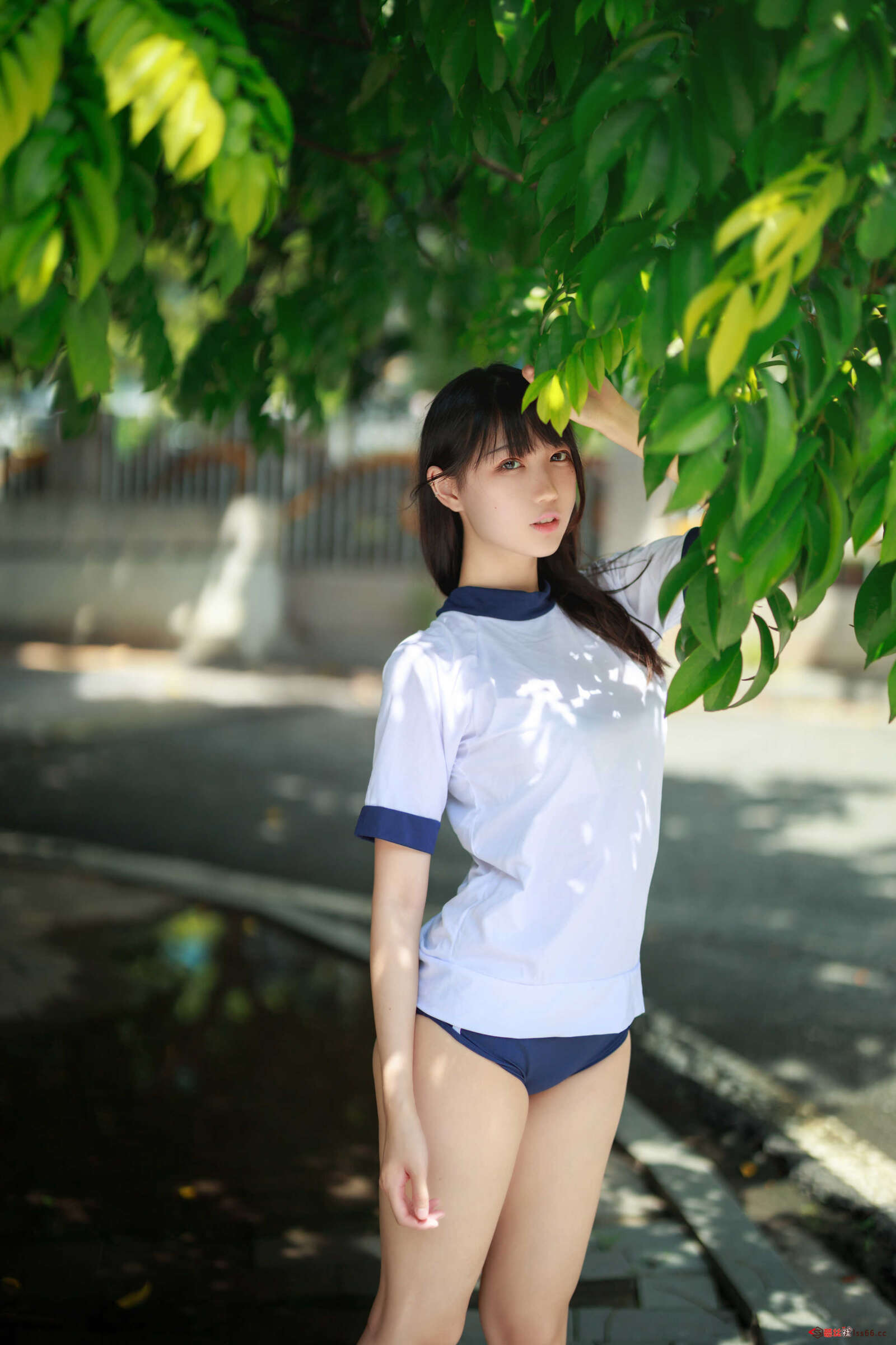 https://www.lss77.com/wp-content/uploads/2020/12/lss-11-47-1600x2400.jpg