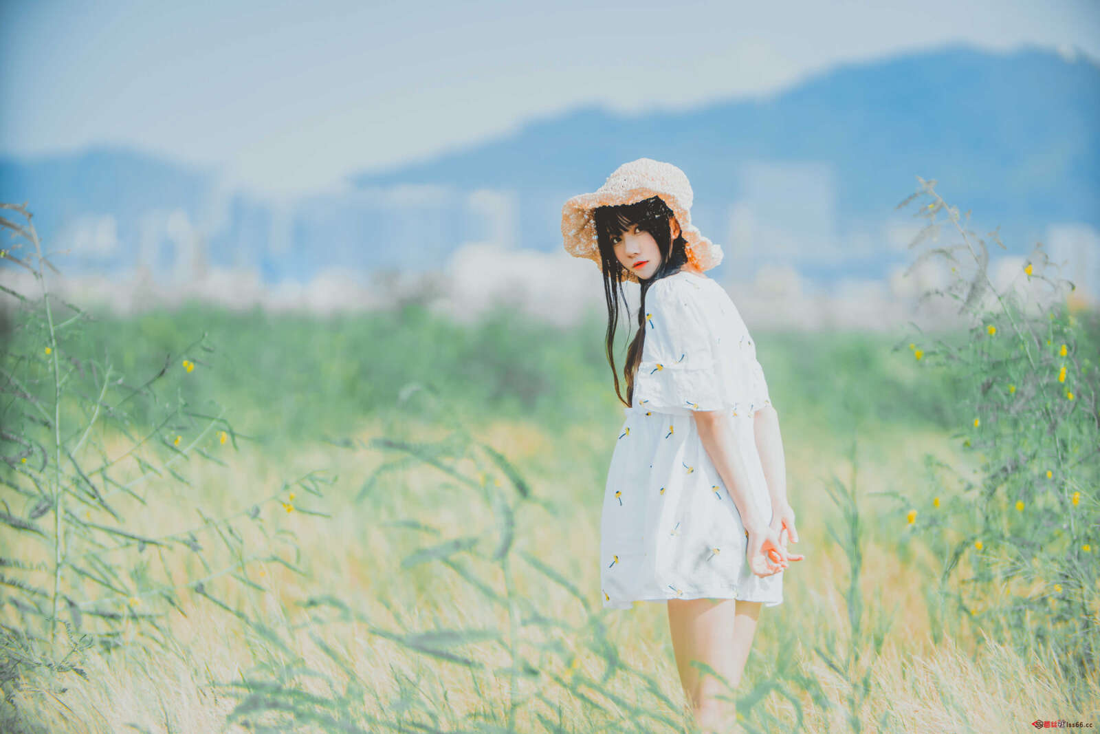 https://www.lss77.com/wp-content/uploads/2020/12/lss-13-78-1600x1067.jpg
