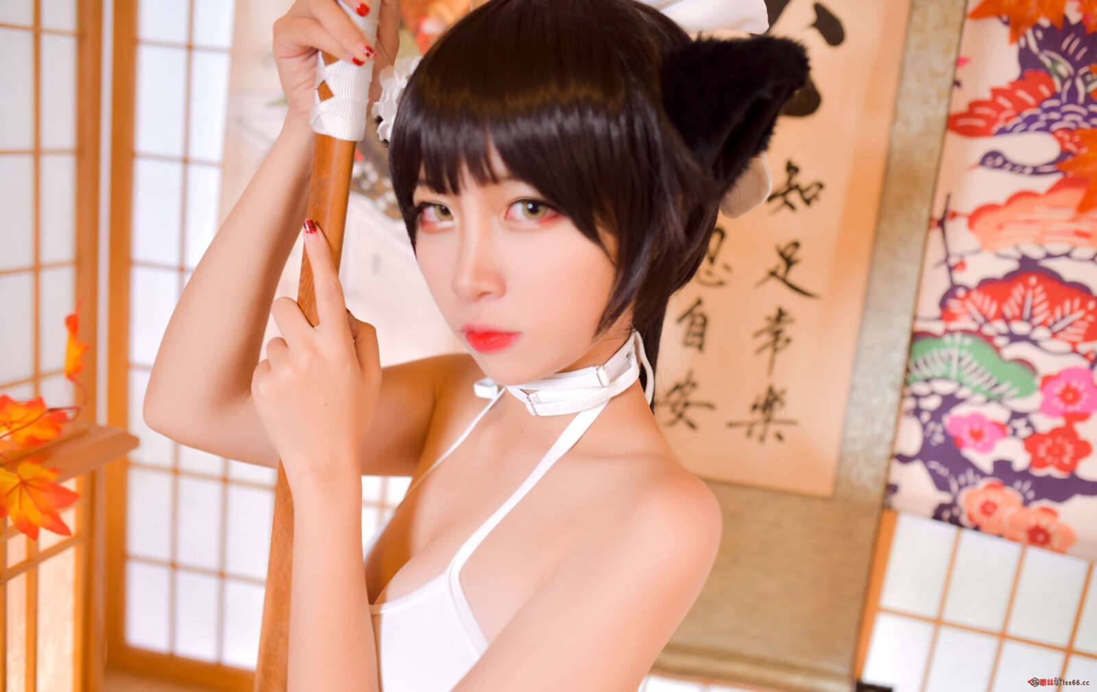 https://www.lss77.com/wp-content/uploads/2020/12/lss-15-5-1600x1010.jpg