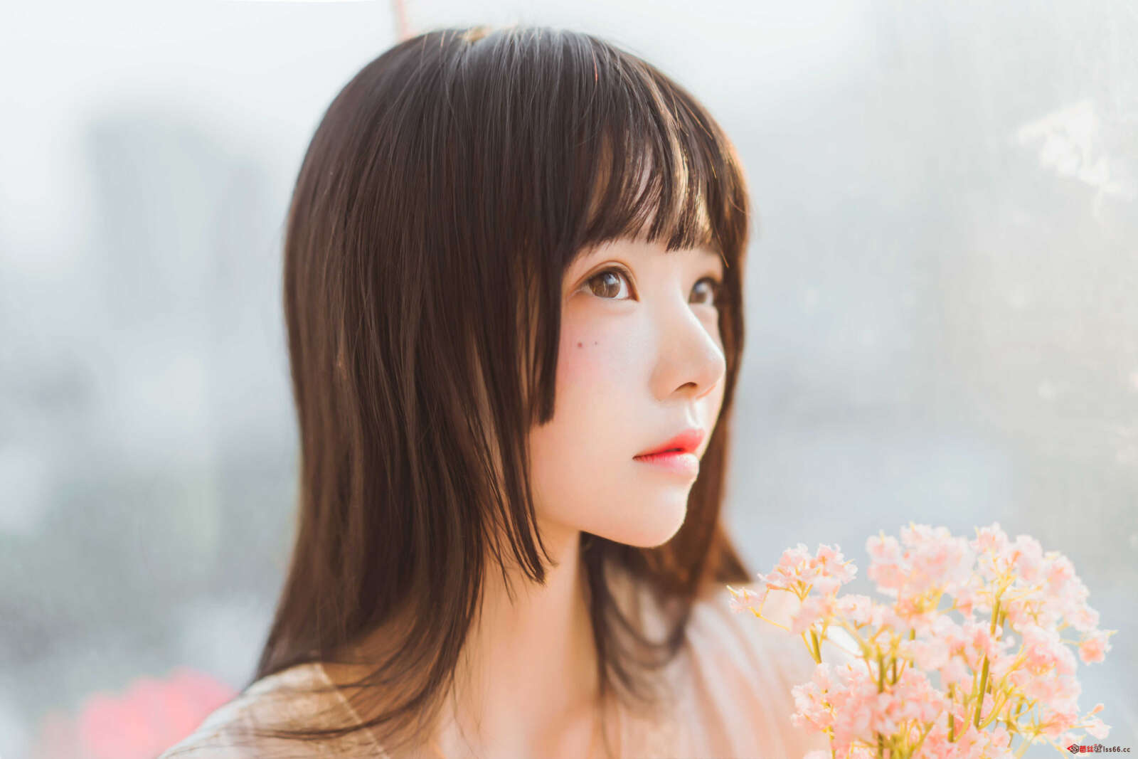 https://www.lss77.com/wp-content/uploads/2020/12/lss-19-136-1600x1067.jpg