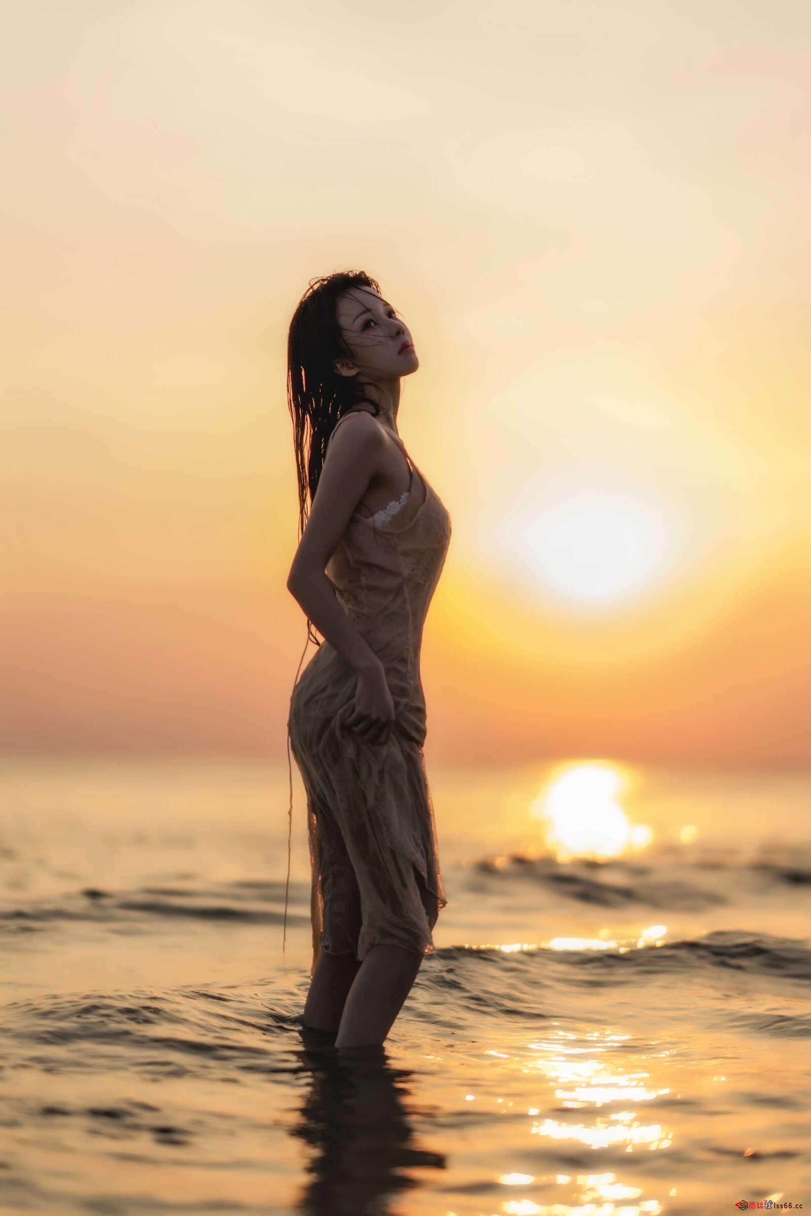https://www.lss77.com/wp-content/uploads/2020/12/lss-19-25-1600x2398.jpg