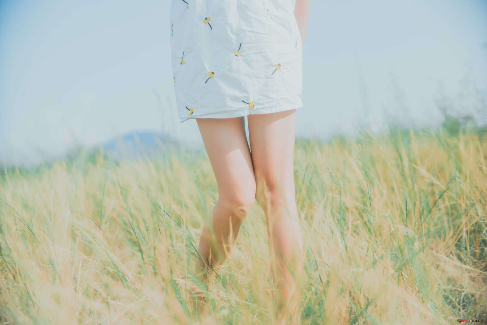 https://www.lss77.com/wp-content/uploads/2020/12/lss-22-50-1600x1067.jpg