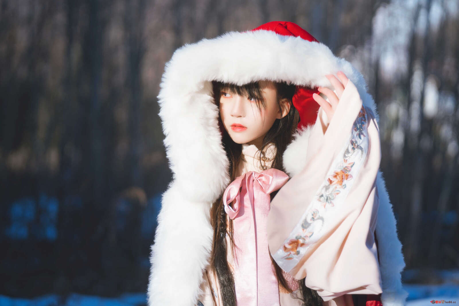 https://www.lss77.com/wp-content/uploads/2020/12/lss-24-31-1600x1067.jpg