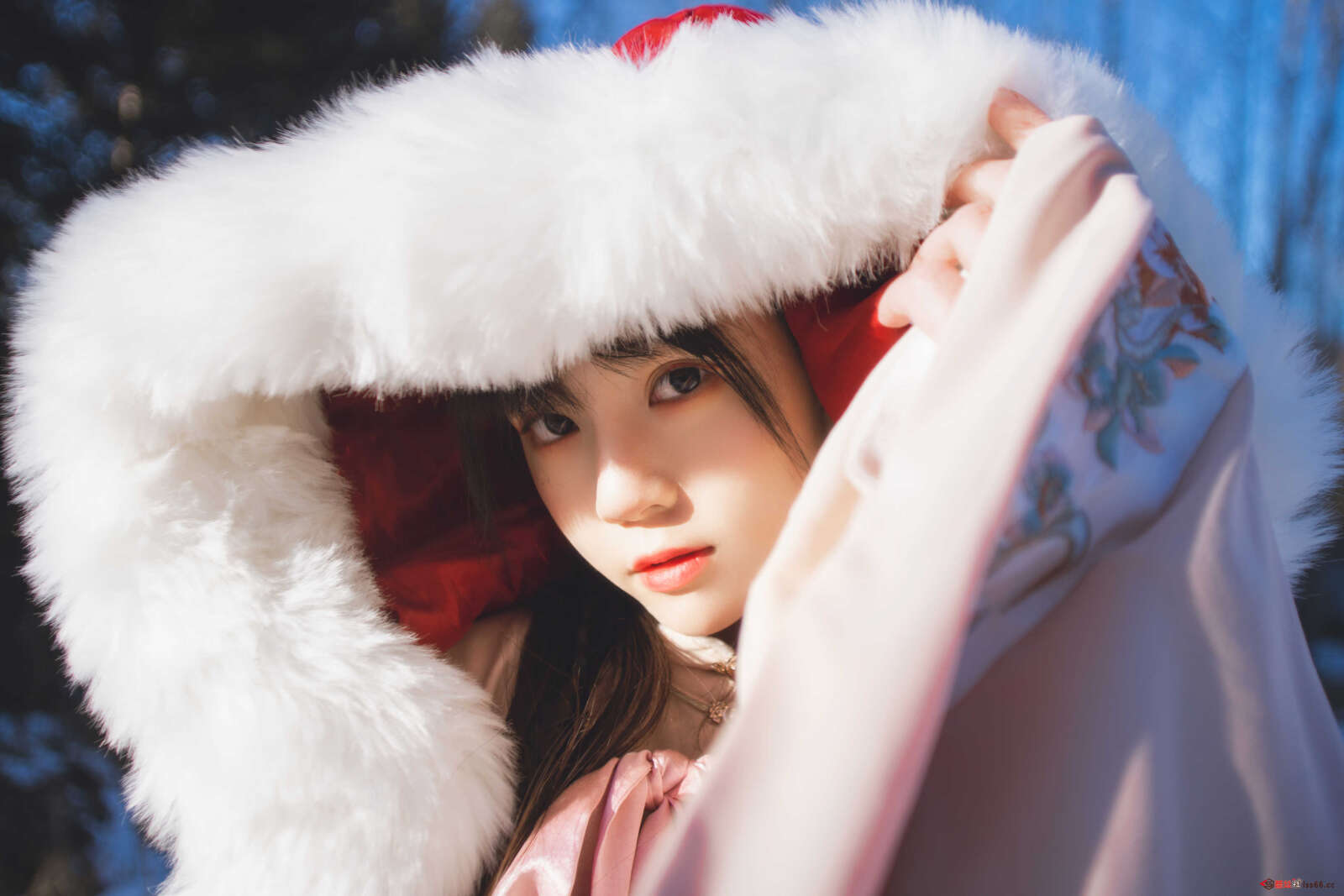 https://www.lss77.com/wp-content/uploads/2020/12/lss-26-26-1600x1067.jpg