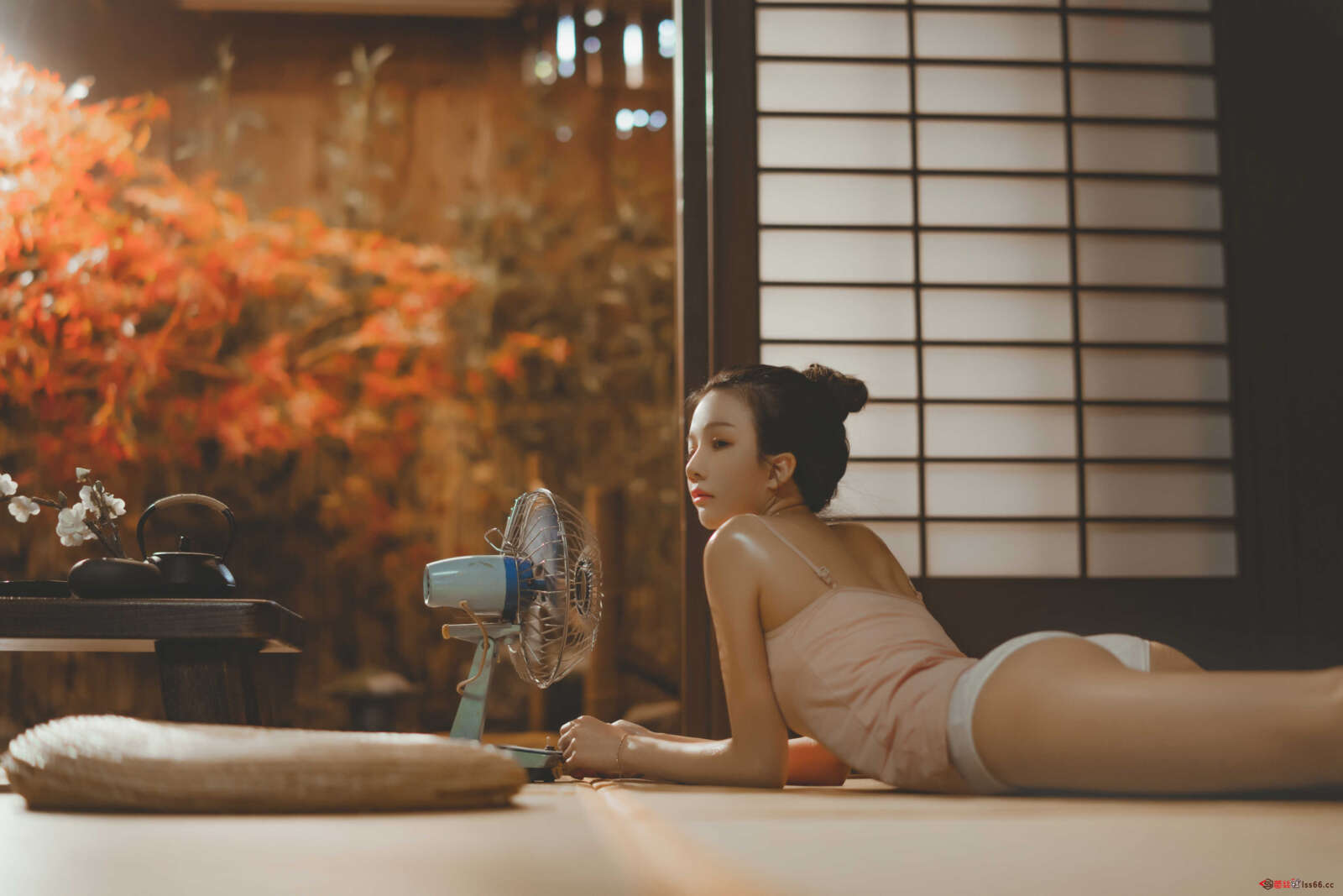 https://www.lss77.com/wp-content/uploads/2020/12/lss-26-30-1600x1067.jpg