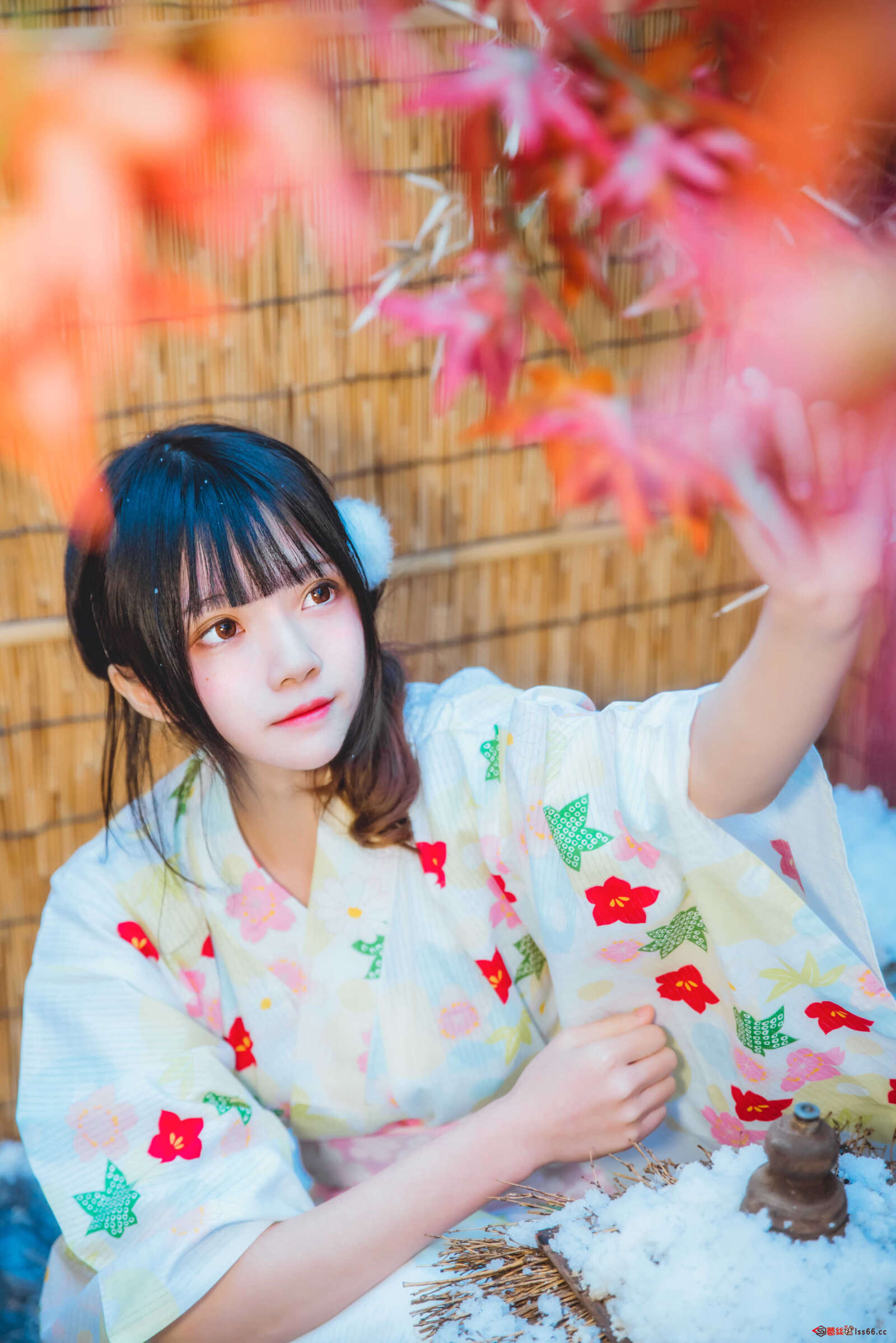 https://www.lss77.com/wp-content/uploads/2020/12/lss-27-21-1600x2398.jpg
