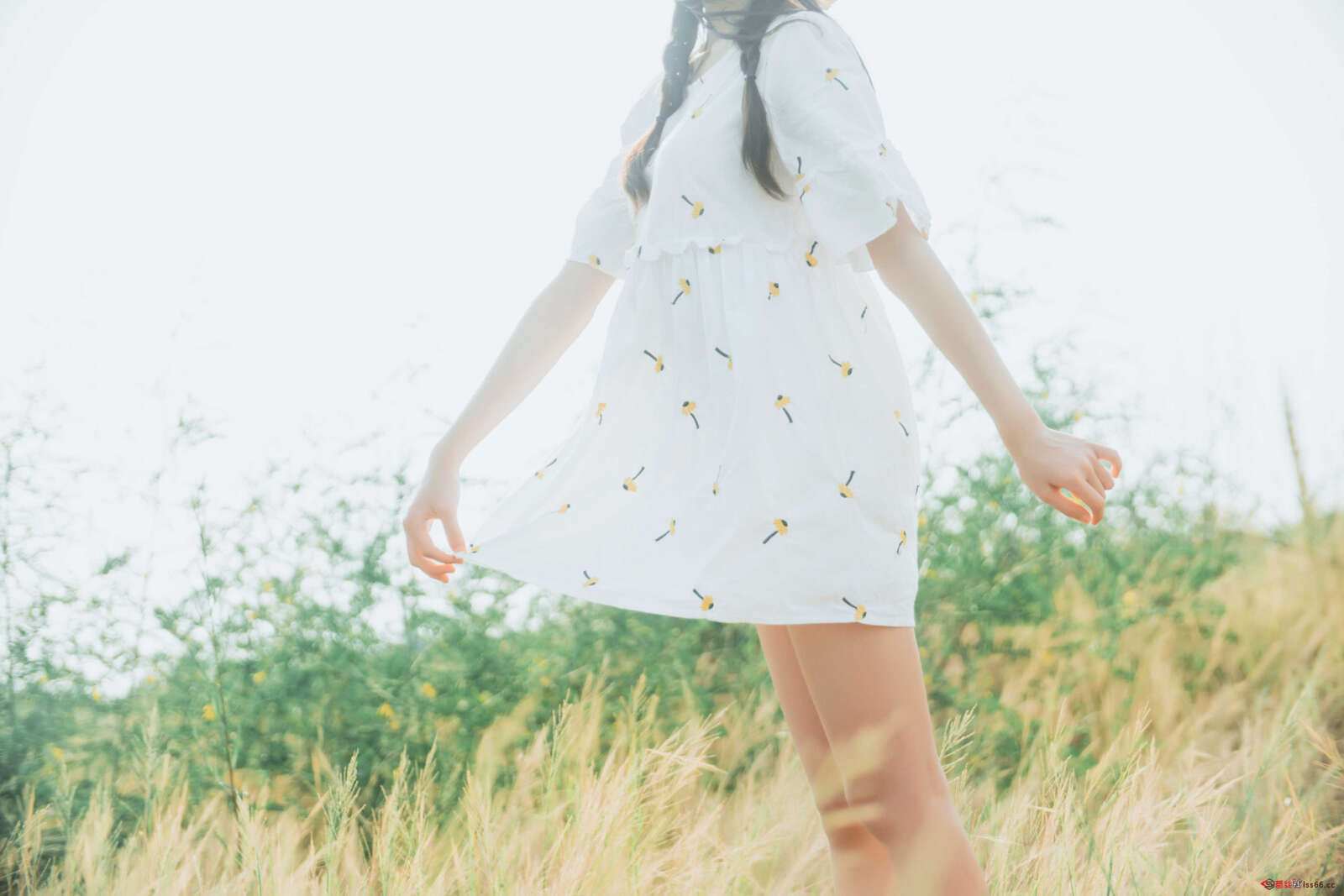 https://www.lss77.com/wp-content/uploads/2020/12/lss-28-38-1600x1067.jpg