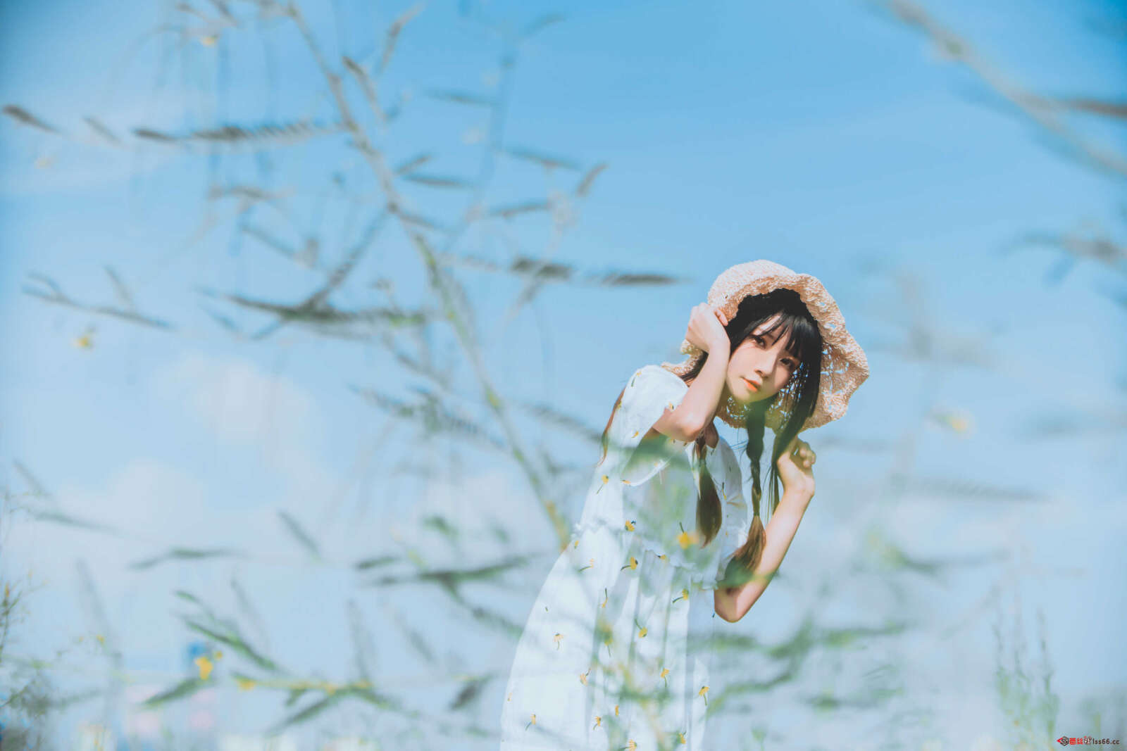 https://www.lss77.com/wp-content/uploads/2020/12/lss-29-37-1600x1067.jpg
