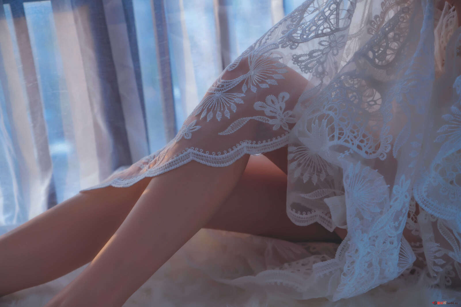 https://www.lss77.com/wp-content/uploads/2020/12/lss-3-146-1600x1067.jpg