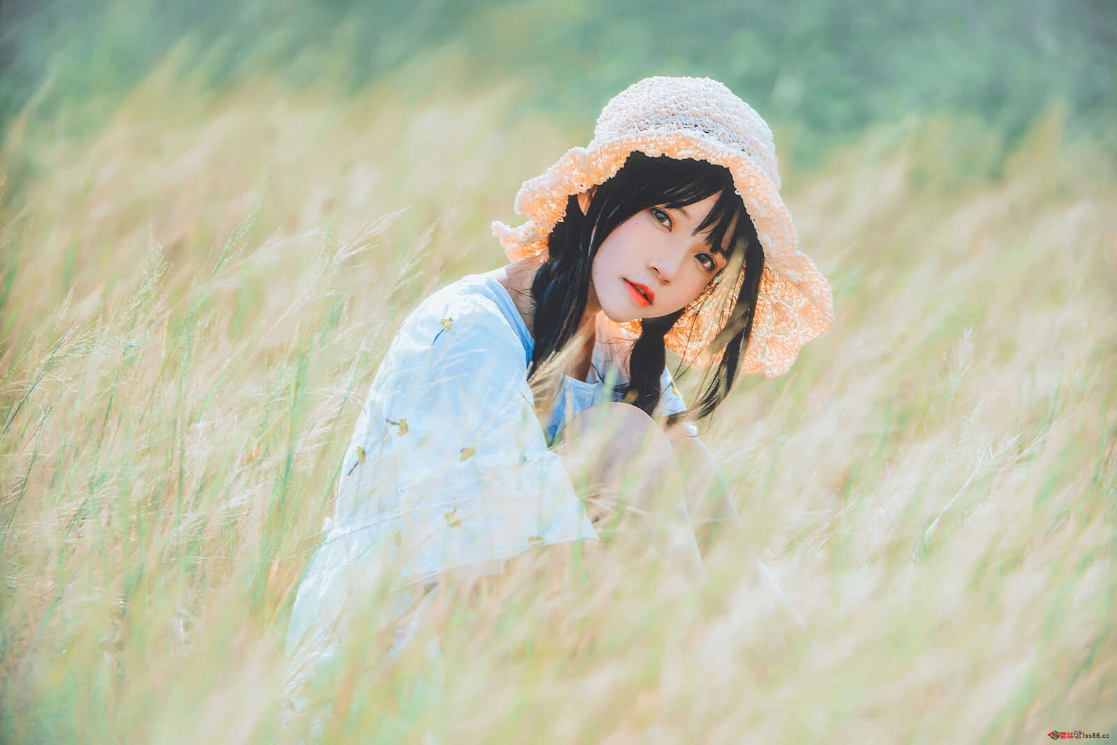 https://www.lss77.com/wp-content/uploads/2020/12/lss-3-73-1600x1067.jpg