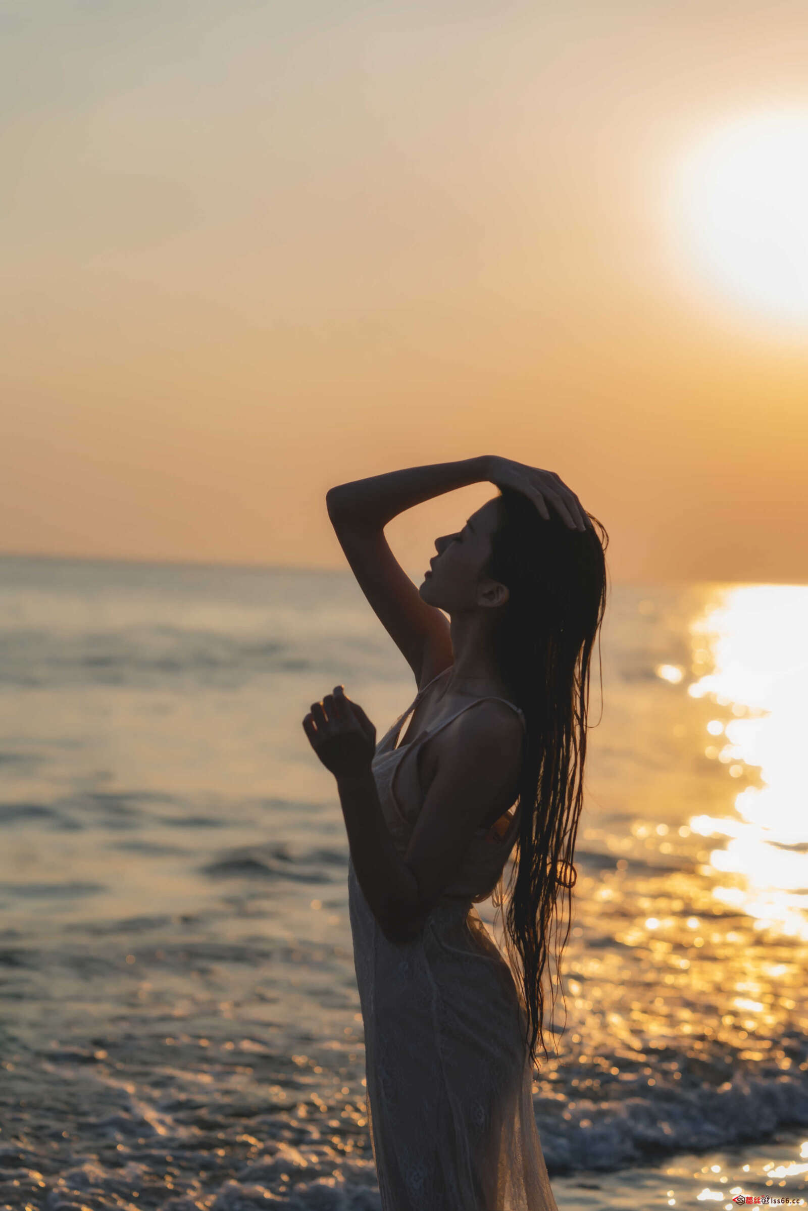 https://www.lss77.com/wp-content/uploads/2020/12/lss-30-16-1600x2398.jpg