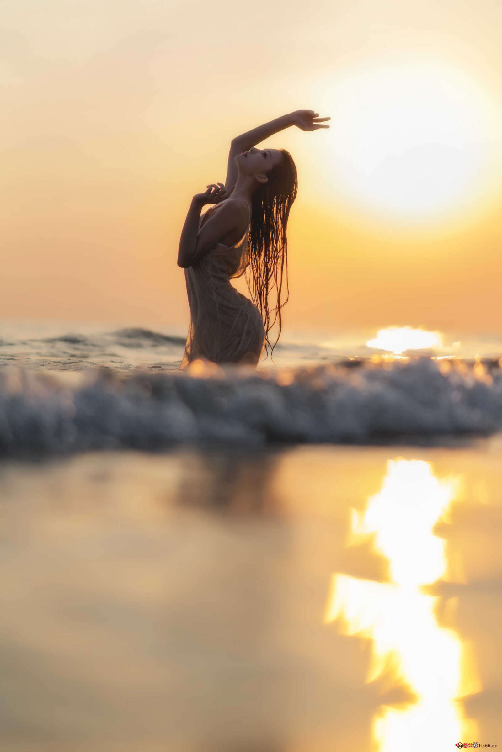 https://www.lss77.com/wp-content/uploads/2020/12/lss-31-13-1600x2398.jpg