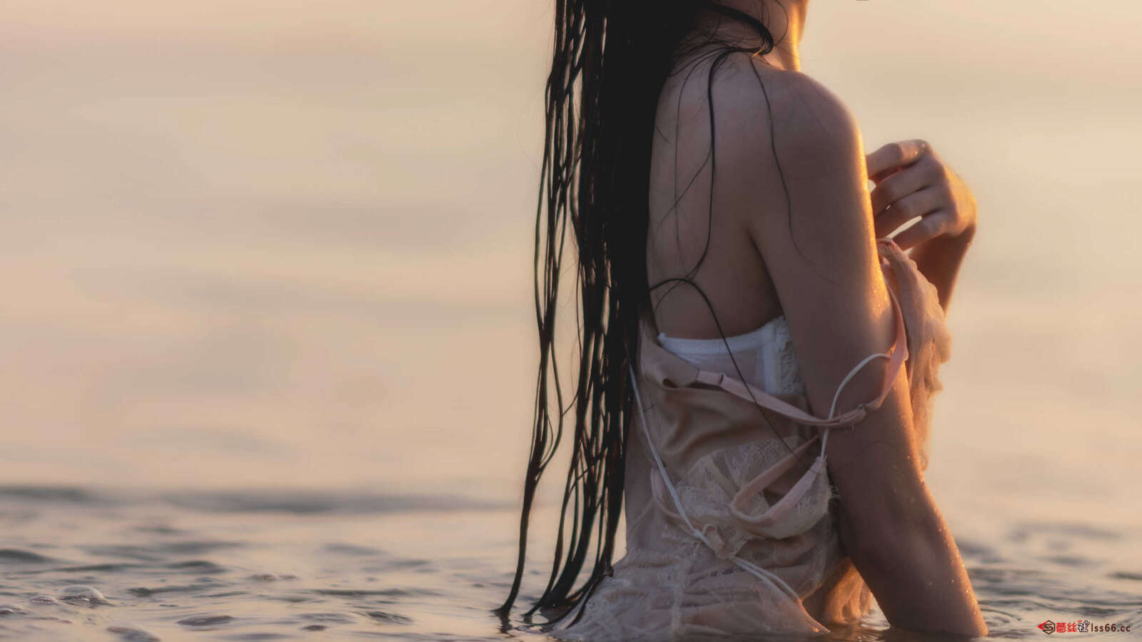 https://www.lss77.com/wp-content/uploads/2020/12/lss-33-11-1600x900.jpg