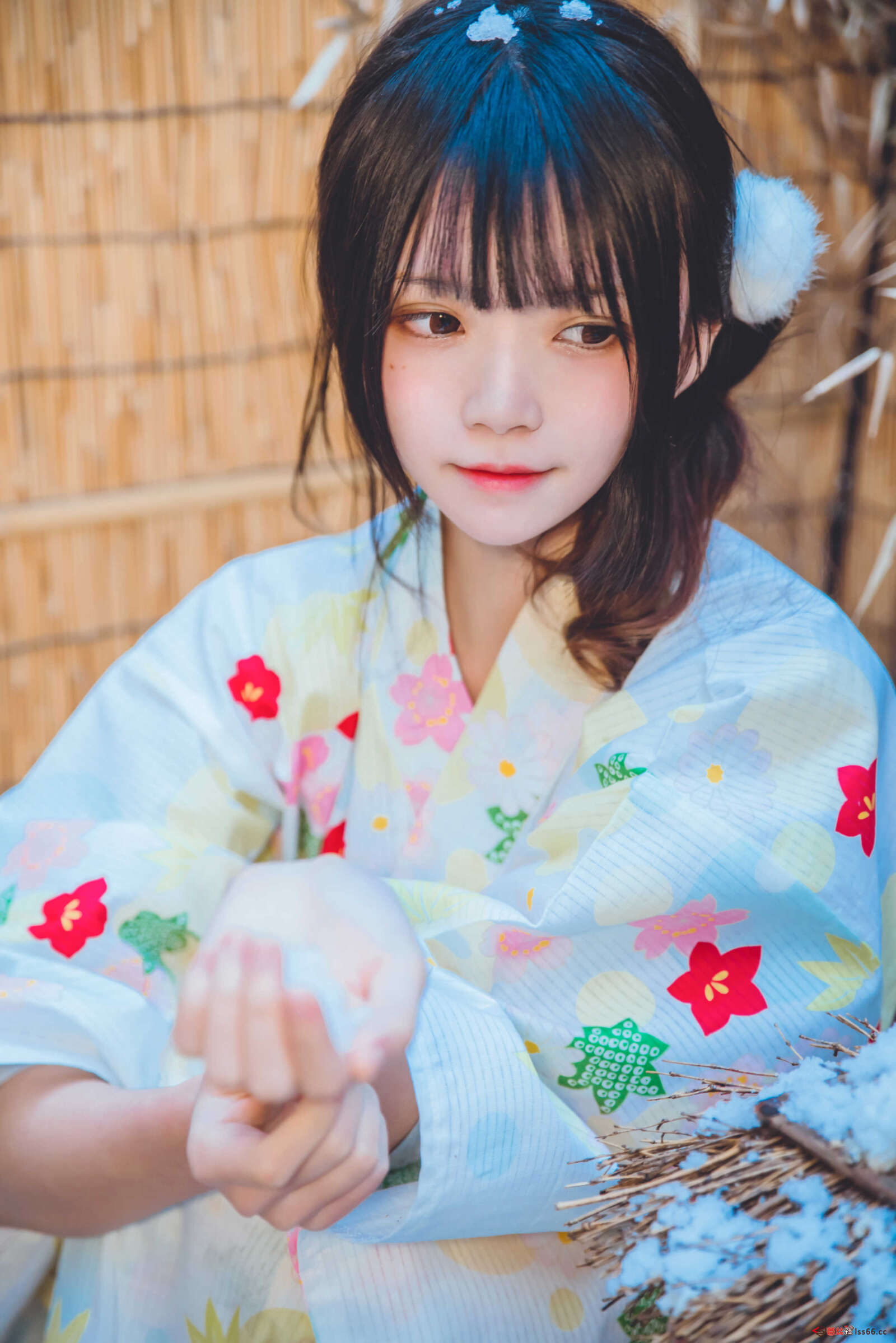 https://www.lss77.com/wp-content/uploads/2020/12/lss-33-13-1600x2398.jpg