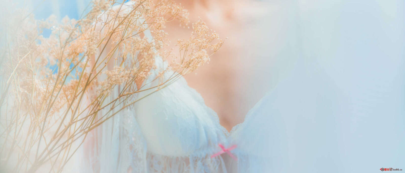 https://www.lss77.com/wp-content/uploads/2020/12/lss-43-13-1600x686.jpg
