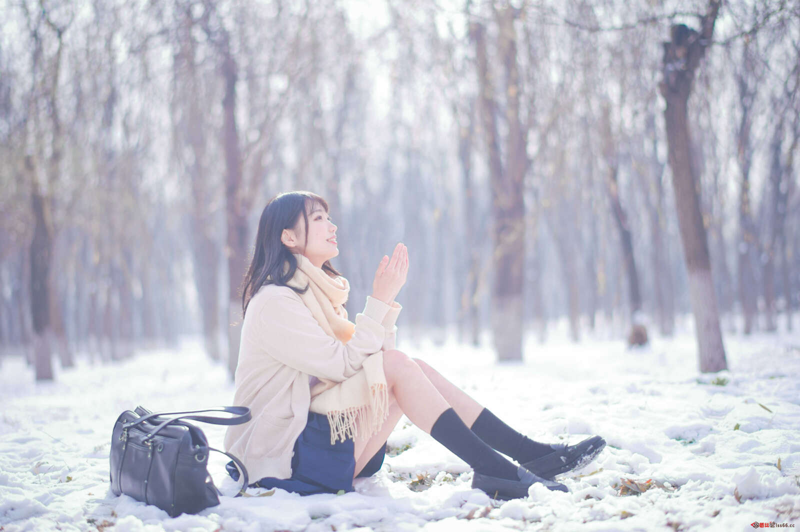 https://www.lss77.com/wp-content/uploads/2020/12/lss-5-55-1600x1064.jpg