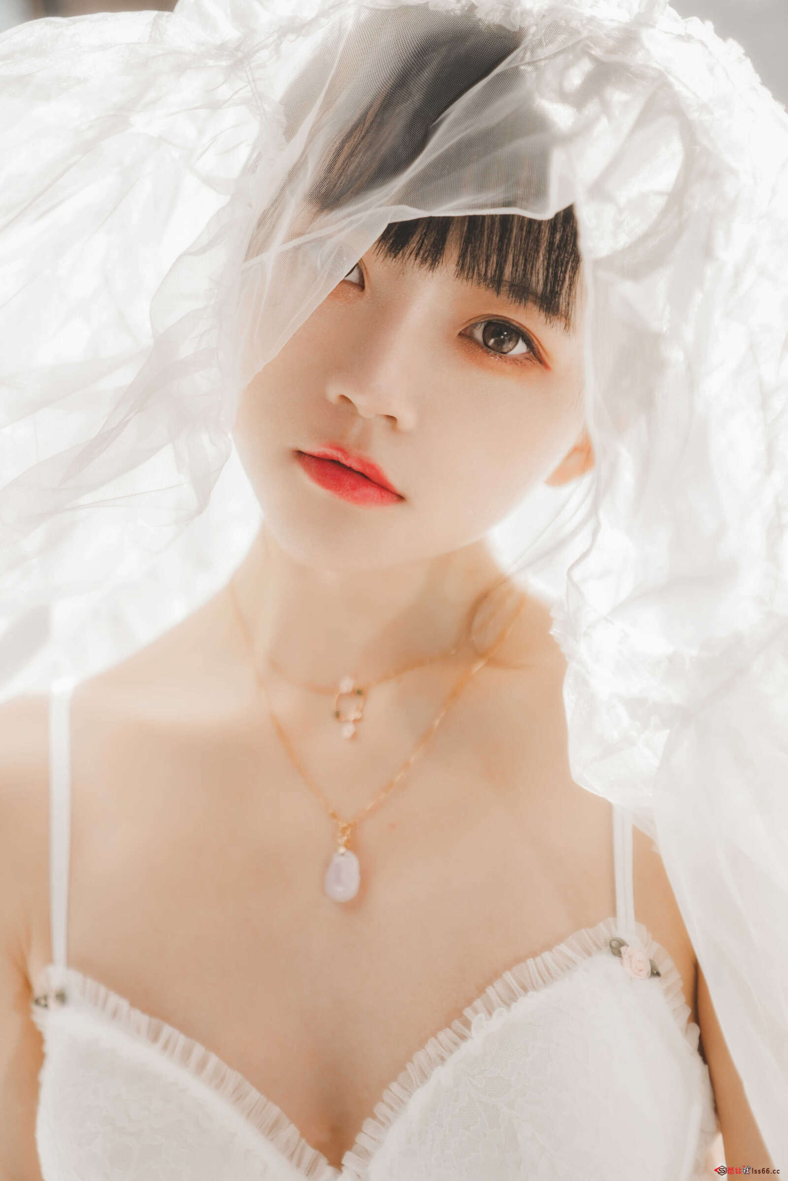 https://www.lss77.com/wp-content/uploads/2020/12/lss-50-19-1600x2398.jpg