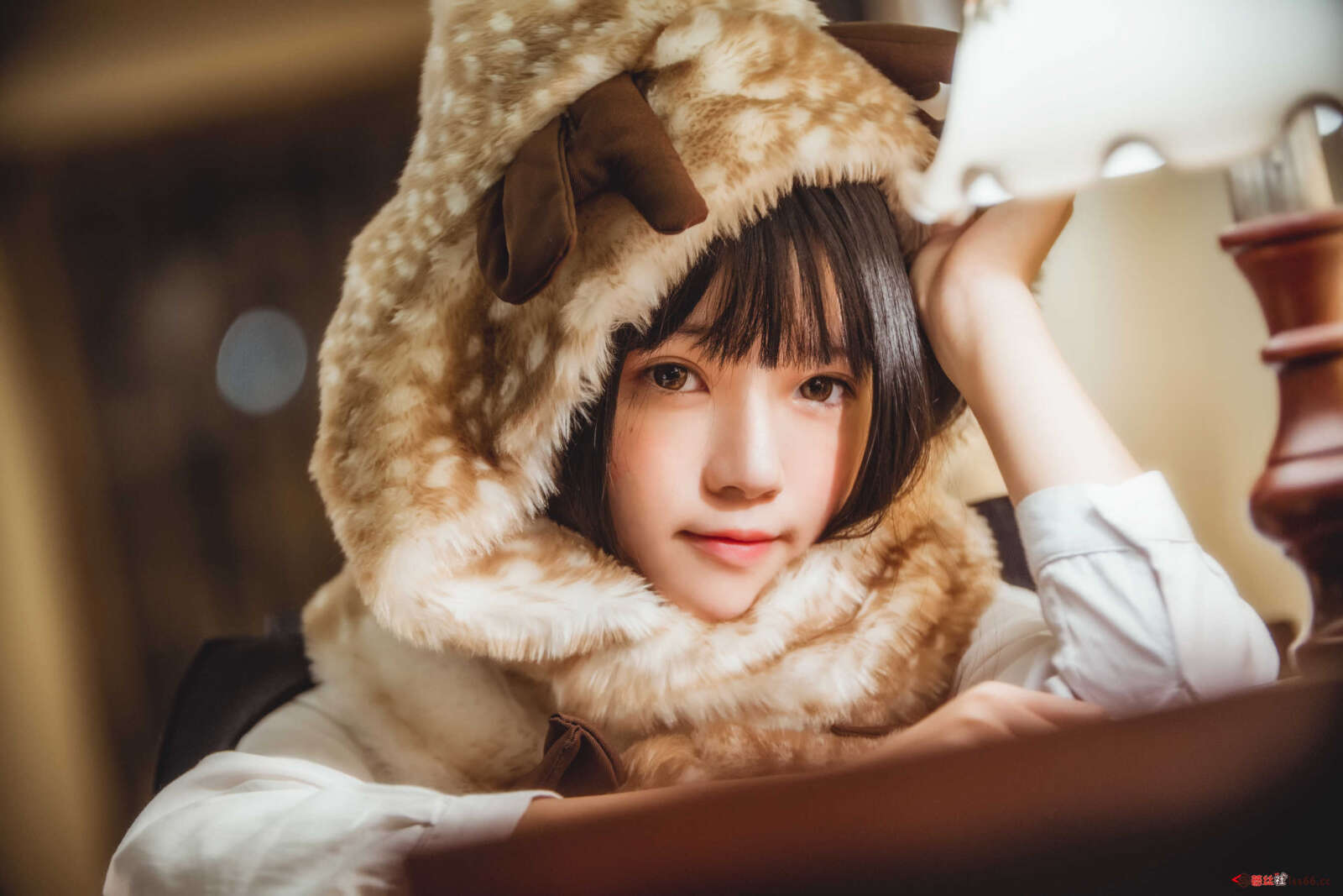 https://www.lss77.com/wp-content/uploads/2020/12/lss-55-5-1600x1067.jpg