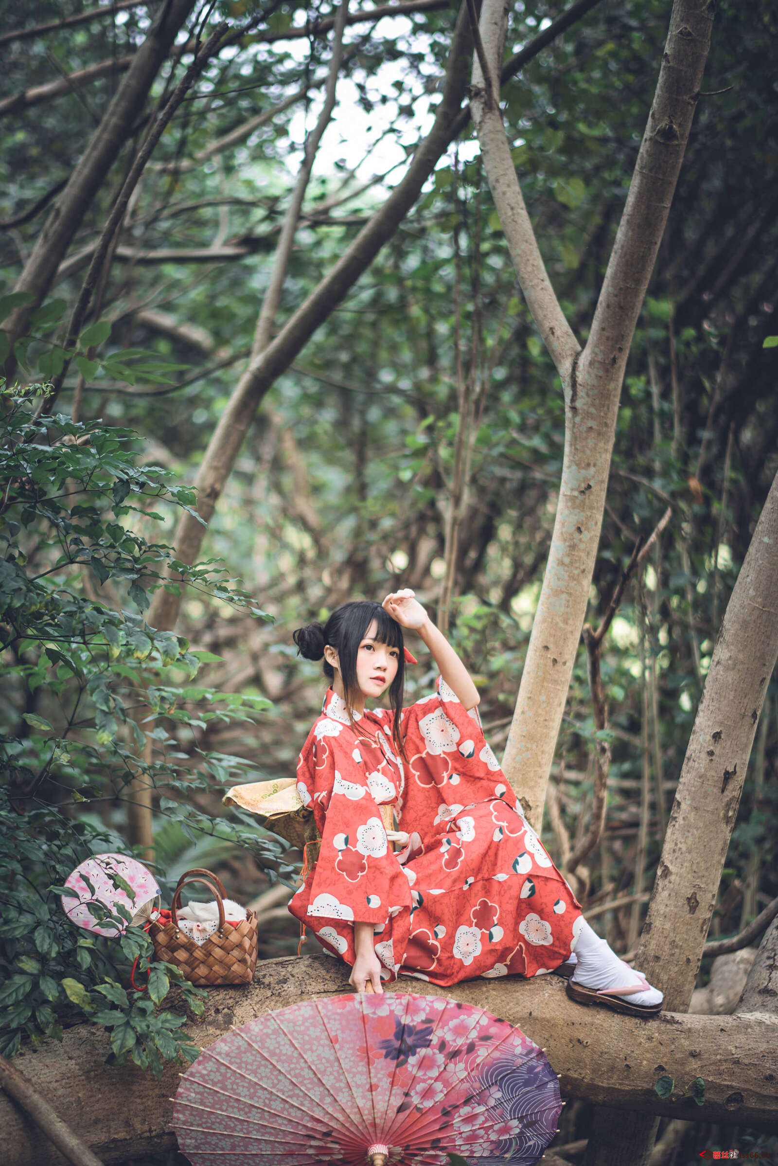 https://www.lss77.com/wp-content/uploads/2020/12/lss-57-12-1600x2397.jpg