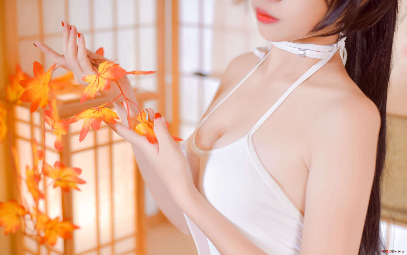 https://www.lss77.com/wp-content/uploads/2020/12/lss-8-5-1600x1005.jpg