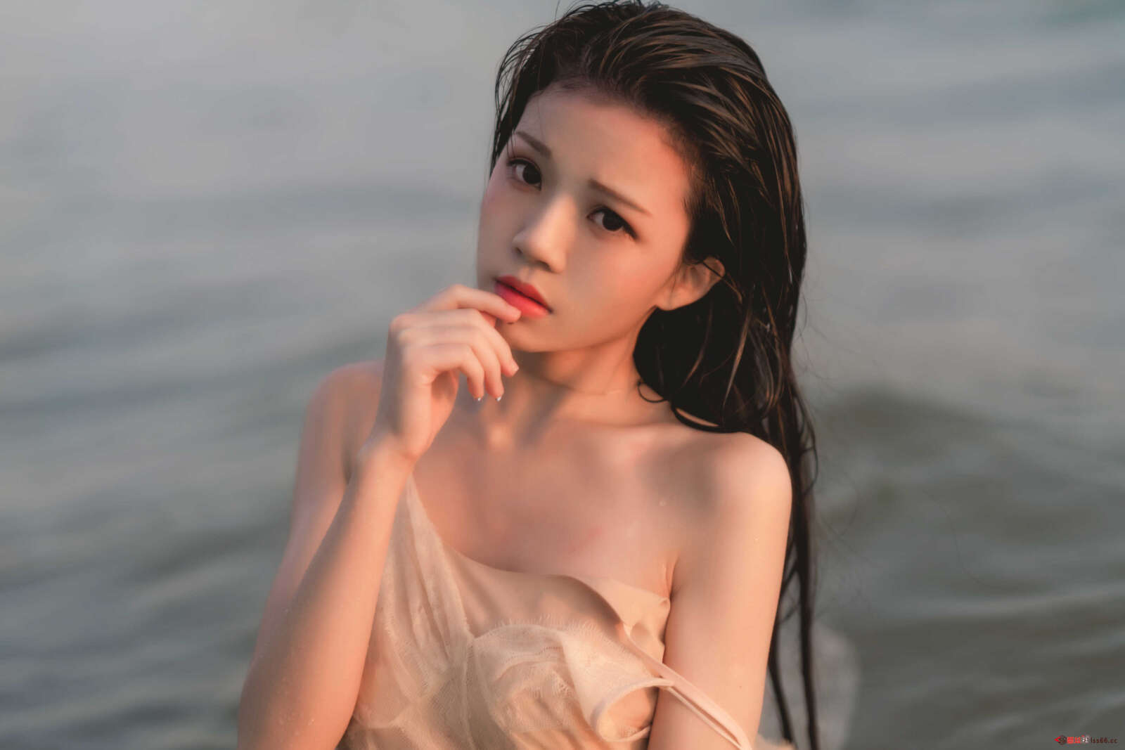 https://www.lss77.com/wp-content/uploads/2020/12/lss-9-33-1600x1067.jpg