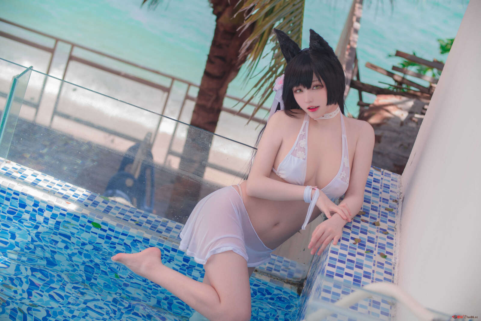 https://www.lss77.com/wp-content/uploads/2020/12/lss-9-52-1600x1068.jpg