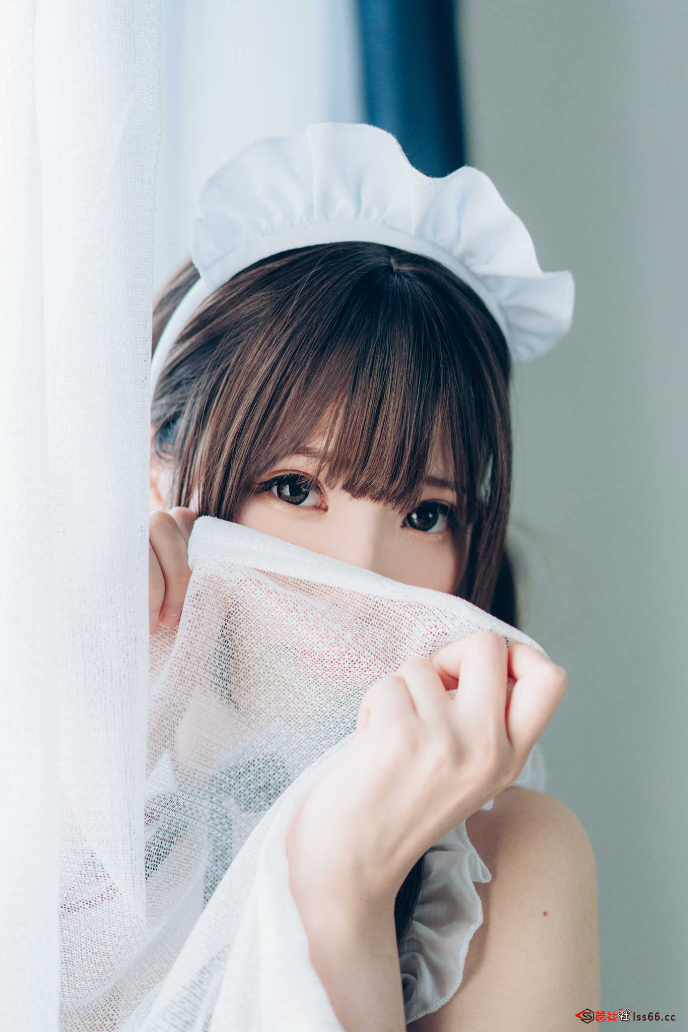 https://www.lss77.com/wp-content/uploads/2020/12/r-16-37.jpg