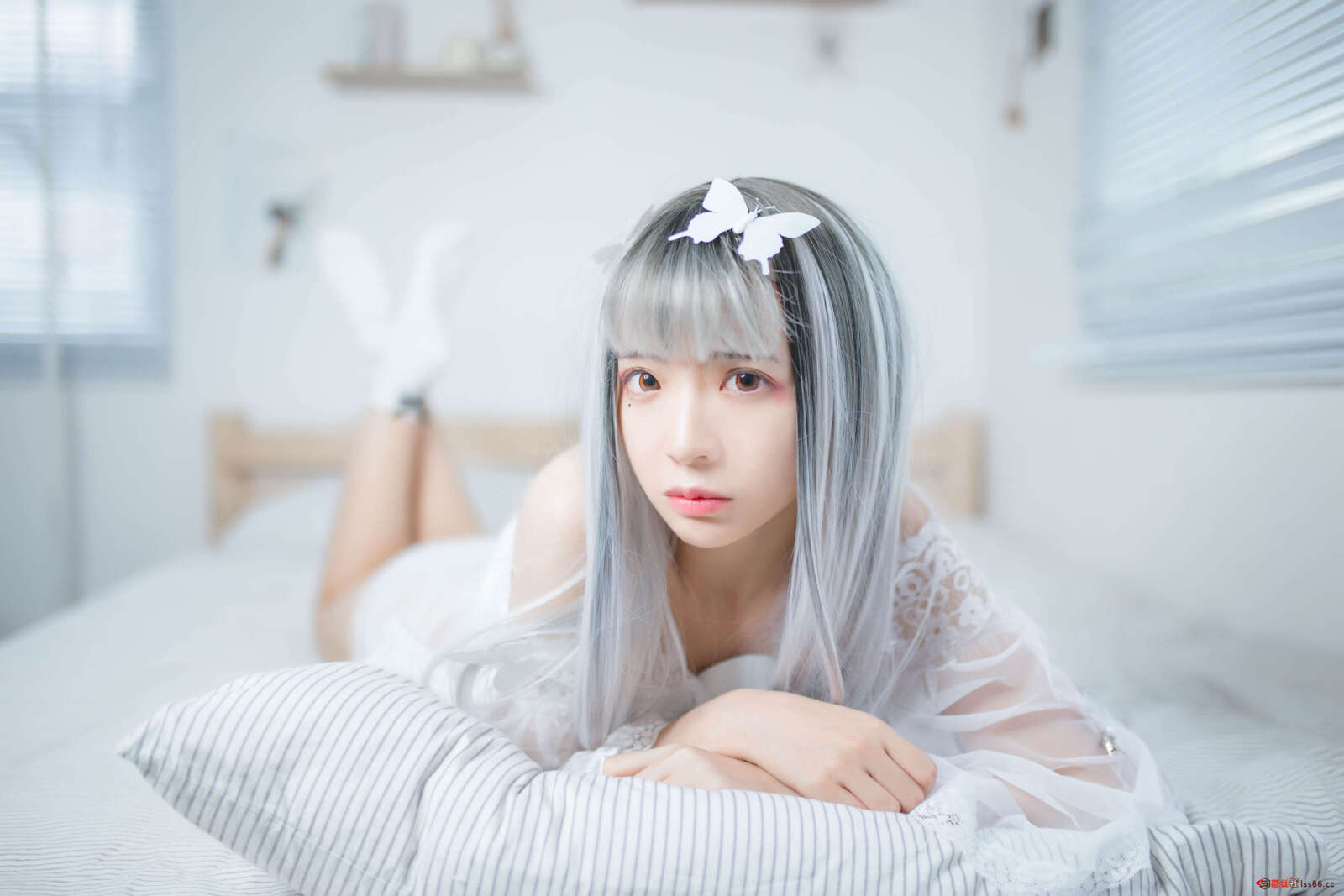 https://www.lss77.com/wp-content/uploads/2020/12/ss-15-70-1600x1067.jpg