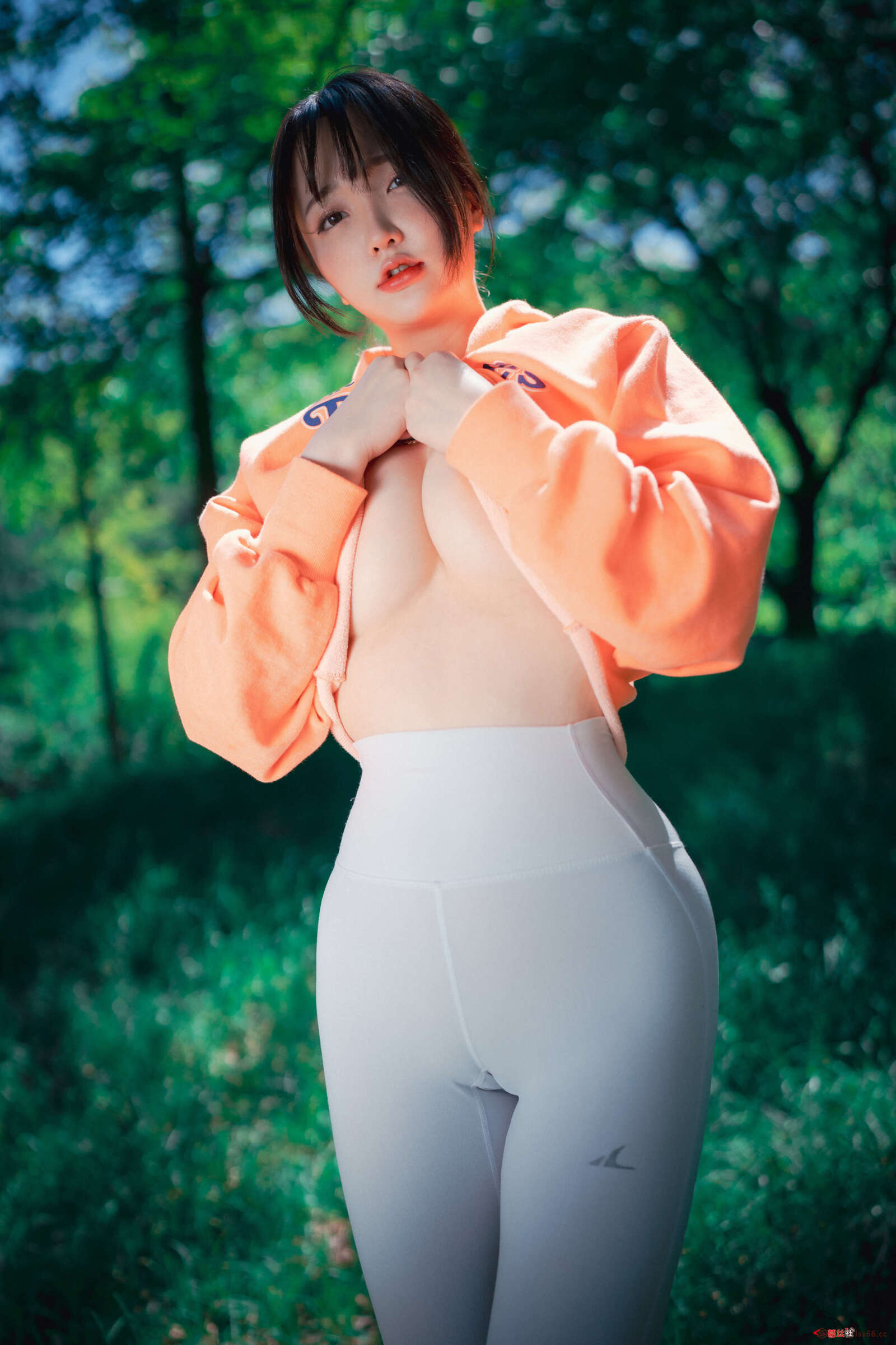 https://www.lss77.com/wp-content/uploads/2020/12/ss-173-3-1600x2400.jpg