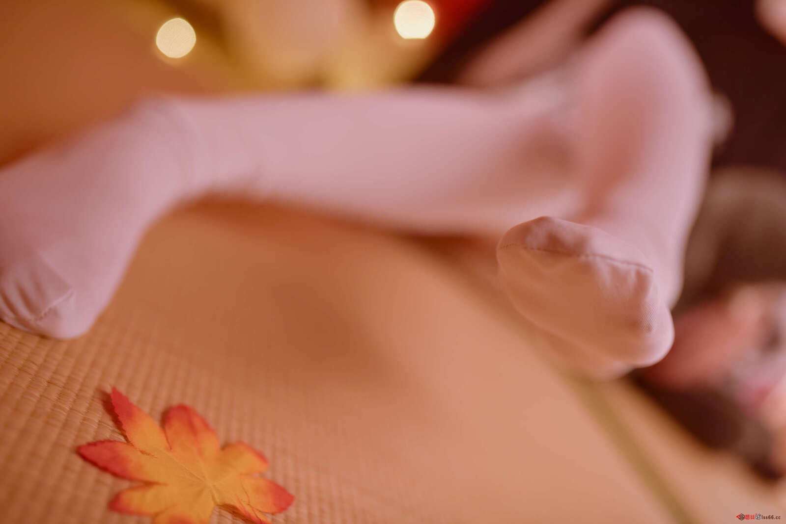https://www.lss77.com/wp-content/uploads/2020/12/ss-18-198-1600x1068.jpg