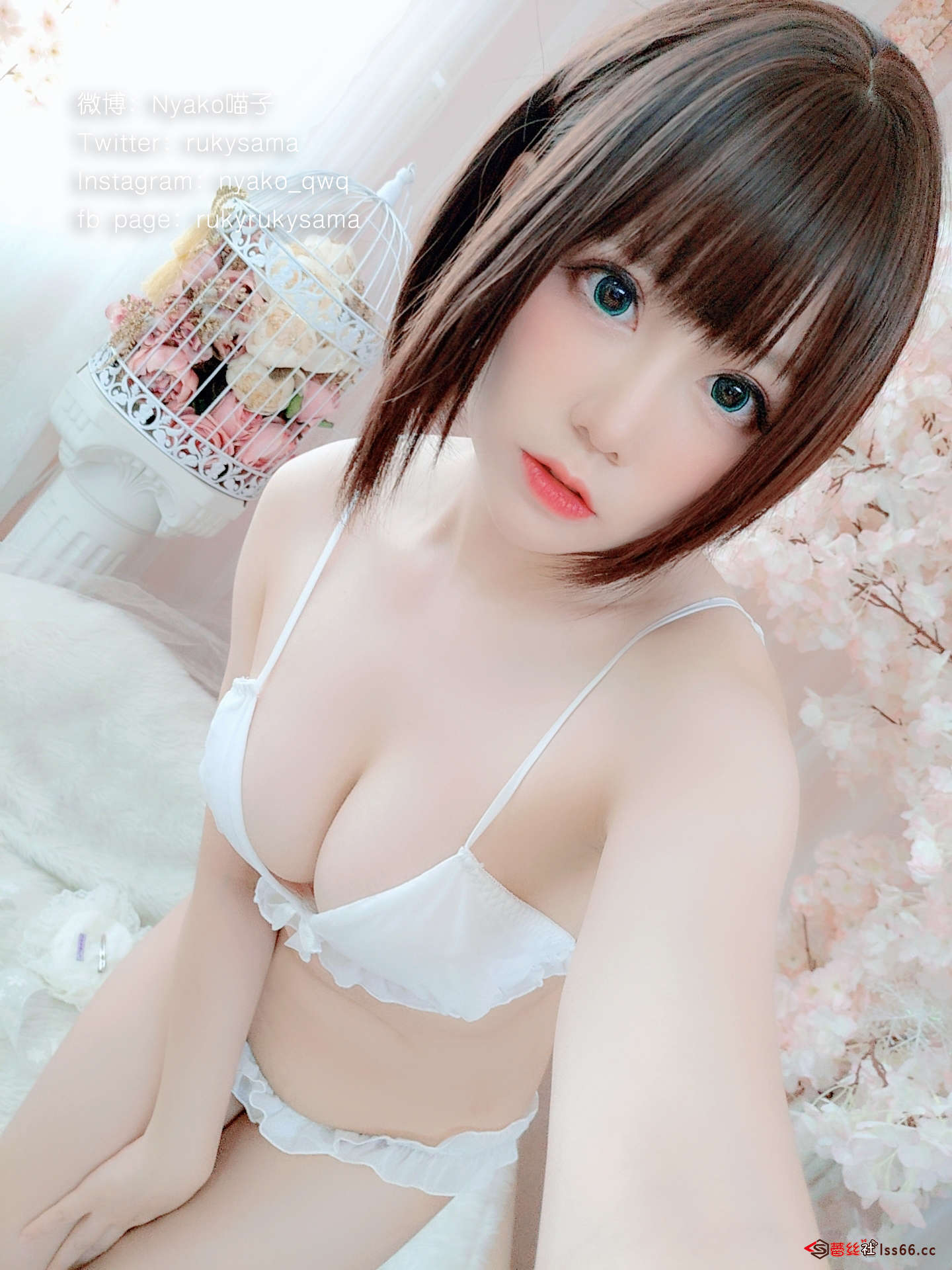 https://www.lss77.com/wp-content/uploads/2020/12/ss-21-2.jpg