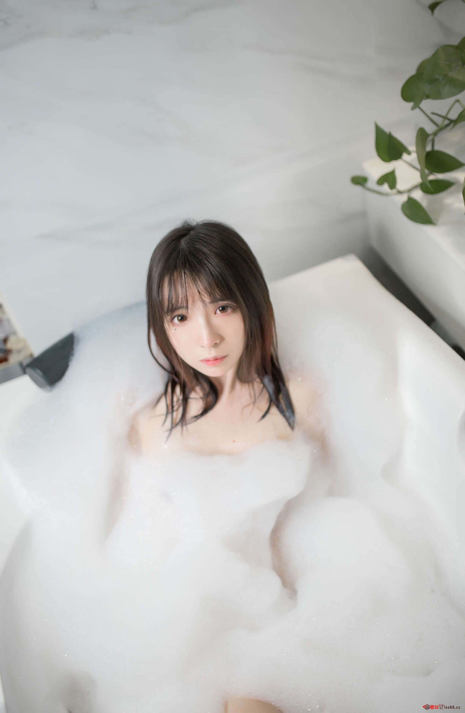 https://www.lss77.com/wp-content/uploads/2020/12/ss-6-176-1565x2400.jpg