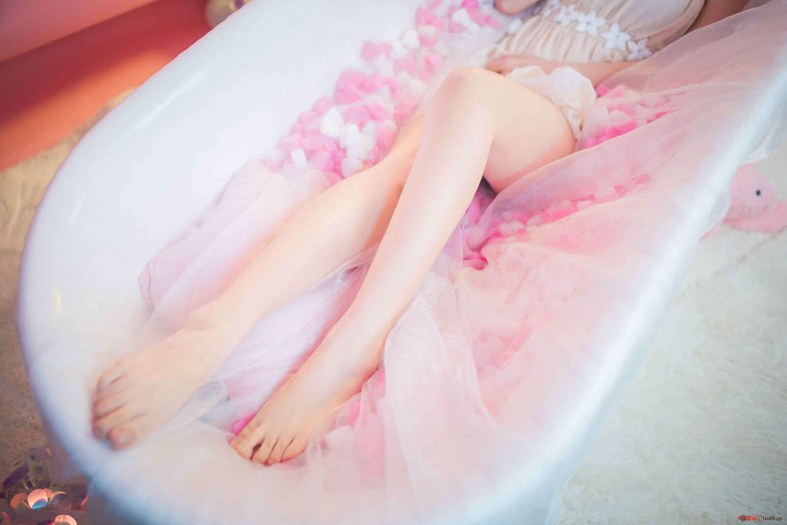 https://www.lss77.com/wp-content/uploads/2020/12/ss-8-22-1600x1068.jpg