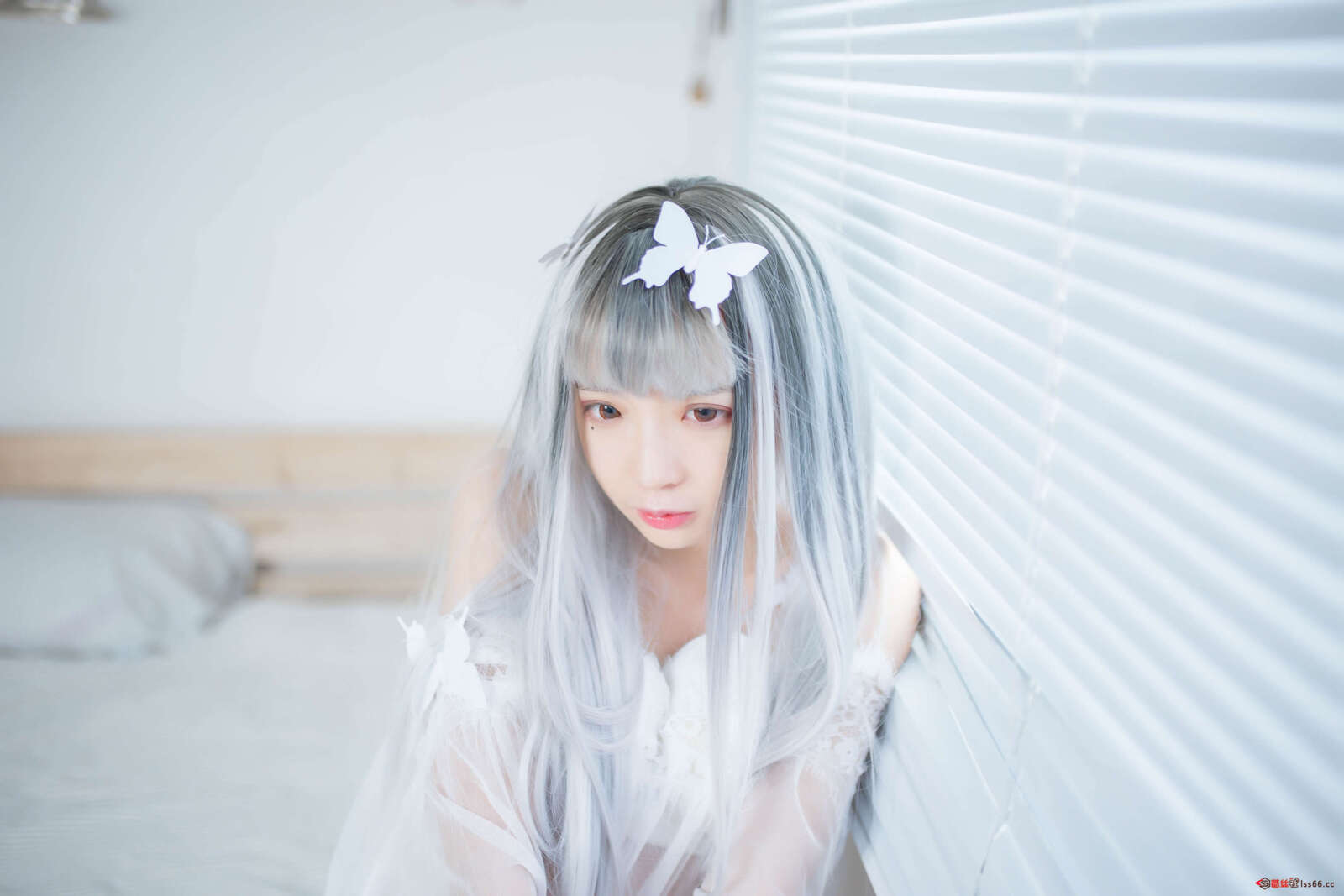 https://www.lss77.com/wp-content/uploads/2020/12/ss-8-76-1600x1067.jpg