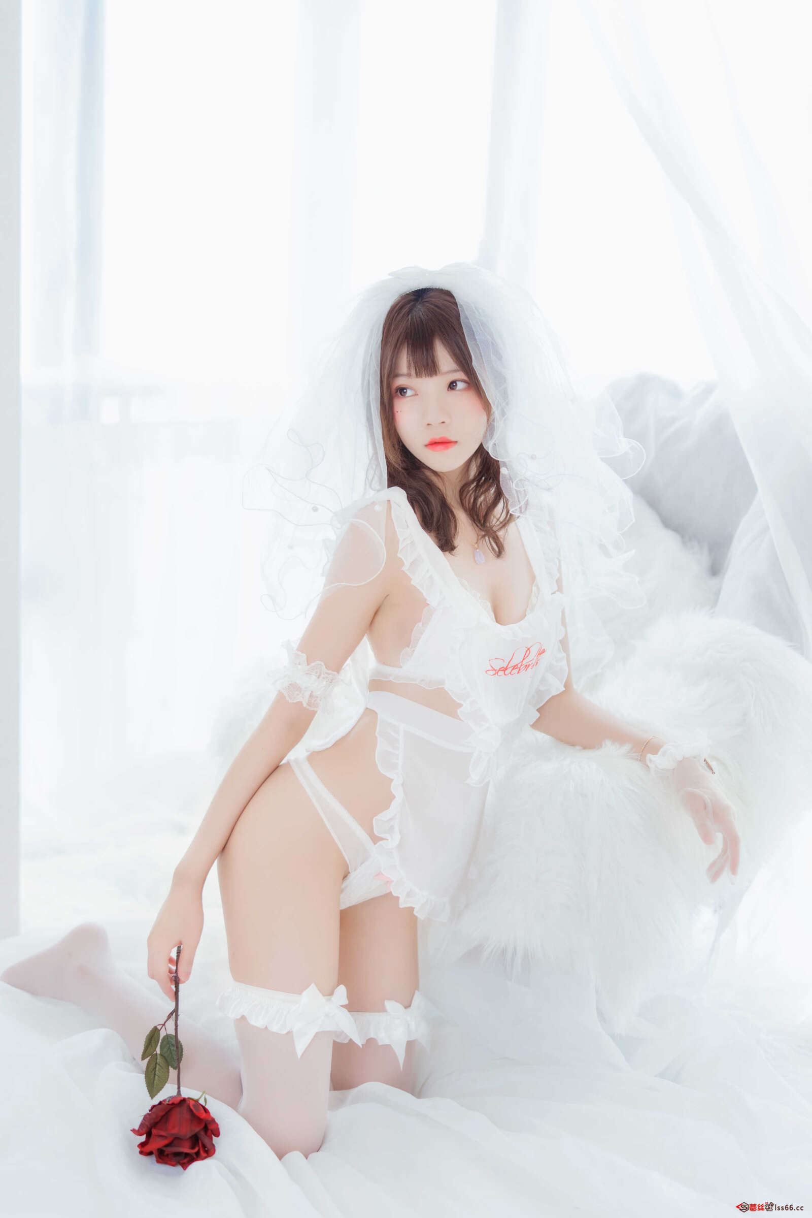 https://www.lss77.com/wp-content/uploads/2021/01/0002-3-1600x2398.jpg