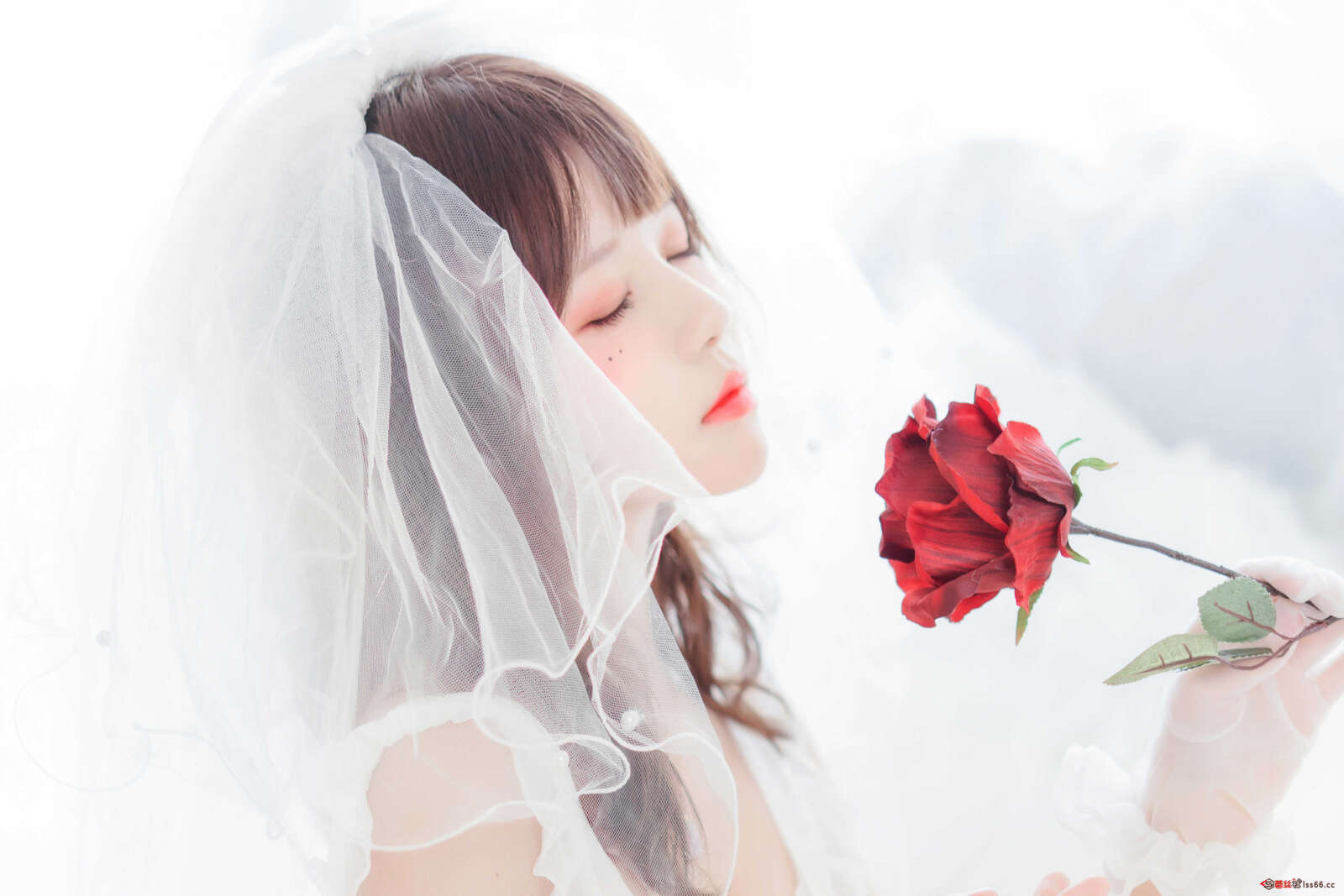 https://www.lss77.com/wp-content/uploads/2021/01/0003-6-1600x1067.jpg
