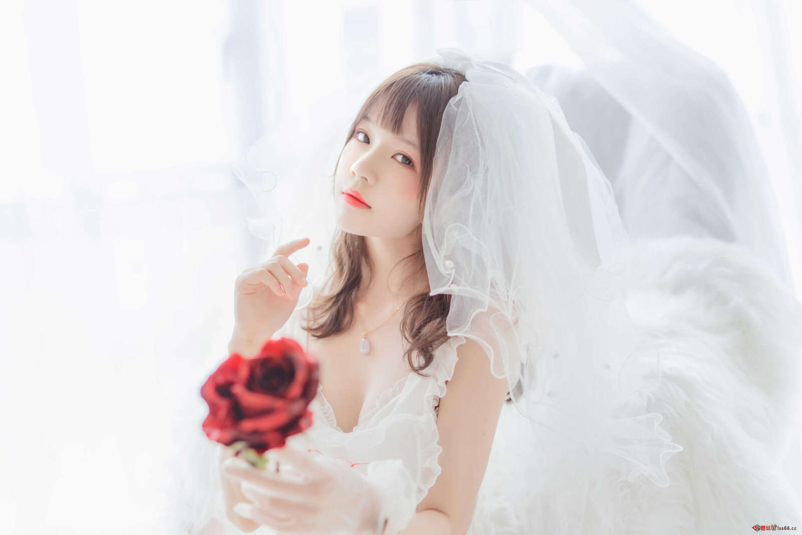 https://www.lss77.com/wp-content/uploads/2021/01/0005-6-1600x1067.jpg