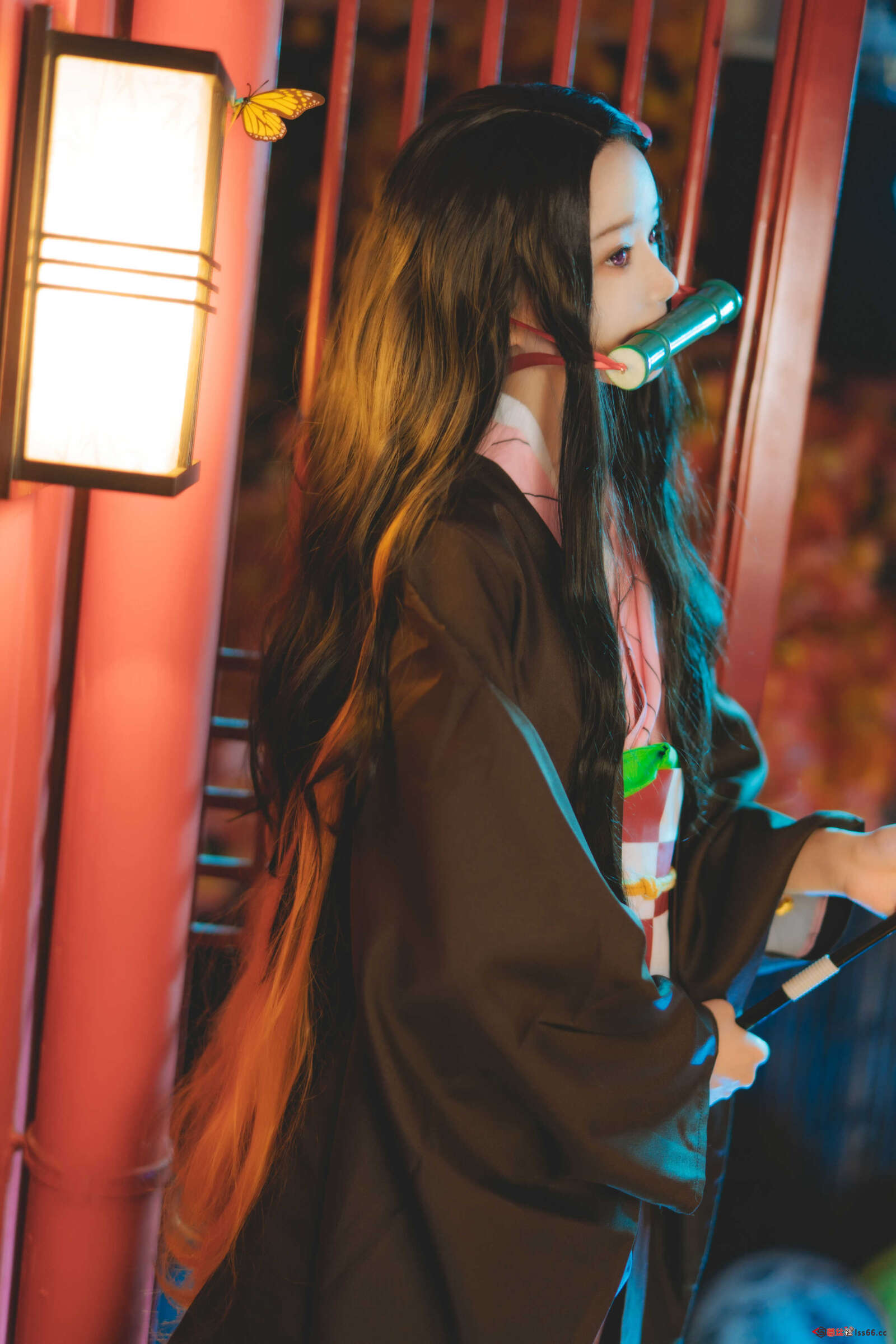 https://www.lss77.com/wp-content/uploads/2021/01/0008-1600x2398.jpg