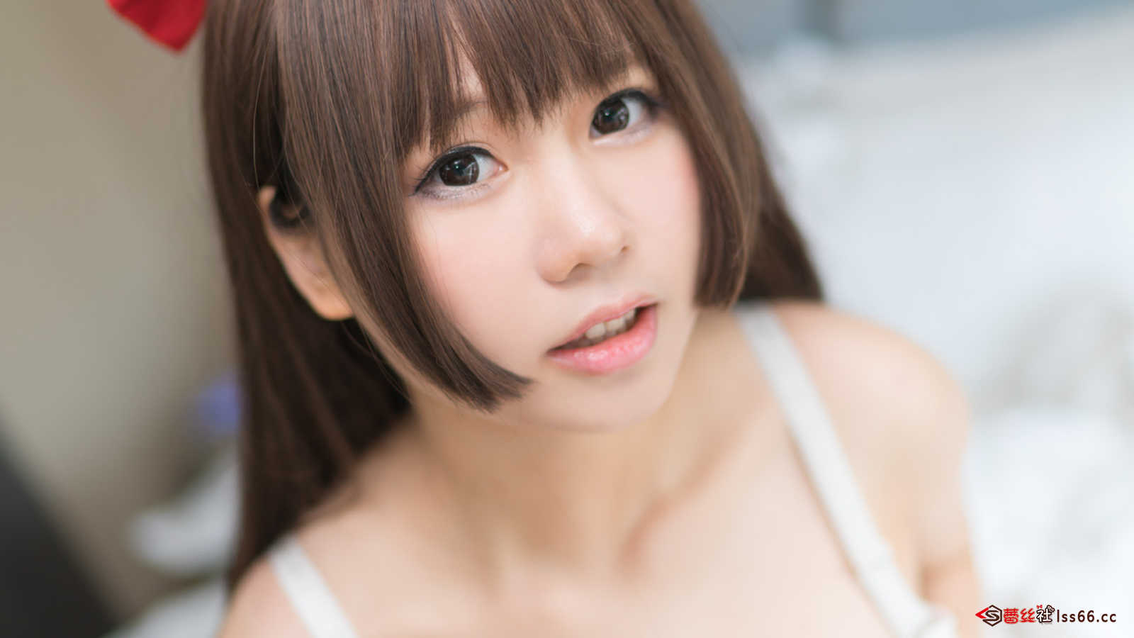 https://www.lss77.com/wp-content/uploads/2021/01/0013-31.jpg