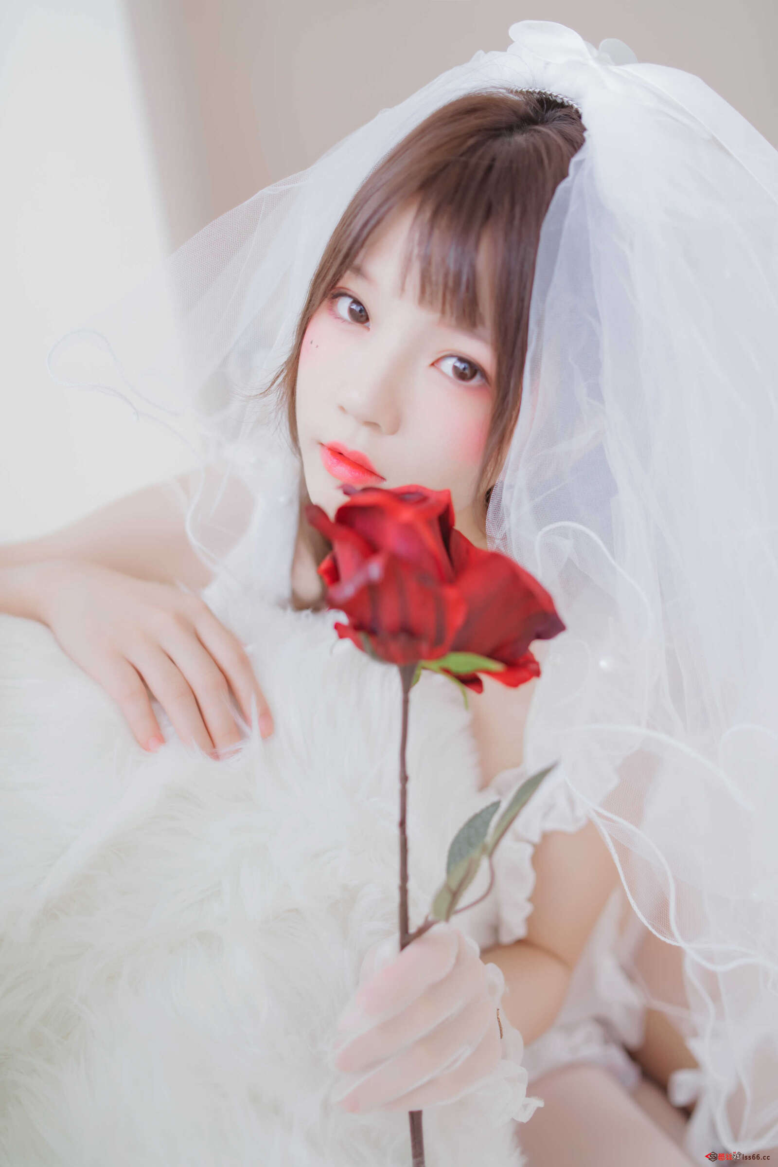https://www.lss77.com/wp-content/uploads/2021/01/0014-6-1600x2398.jpg