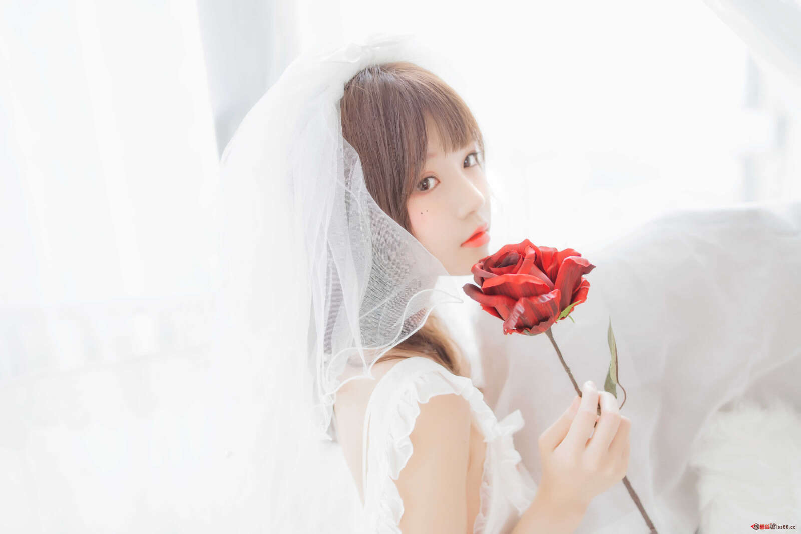 https://www.lss77.com/wp-content/uploads/2021/01/0023-3-1600x1067.jpg