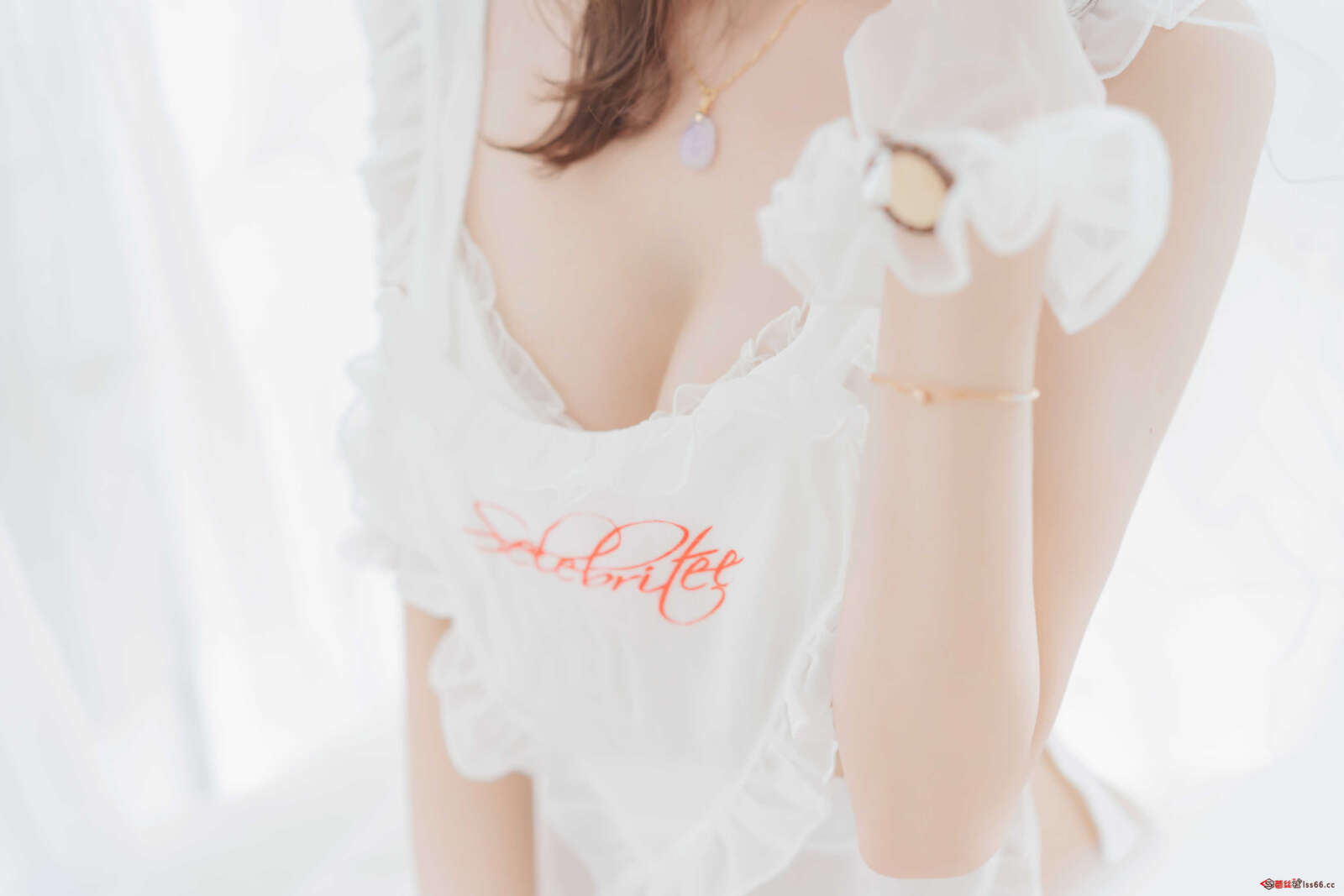 https://www.lss77.com/wp-content/uploads/2021/01/0024-3-1600x1067.jpg