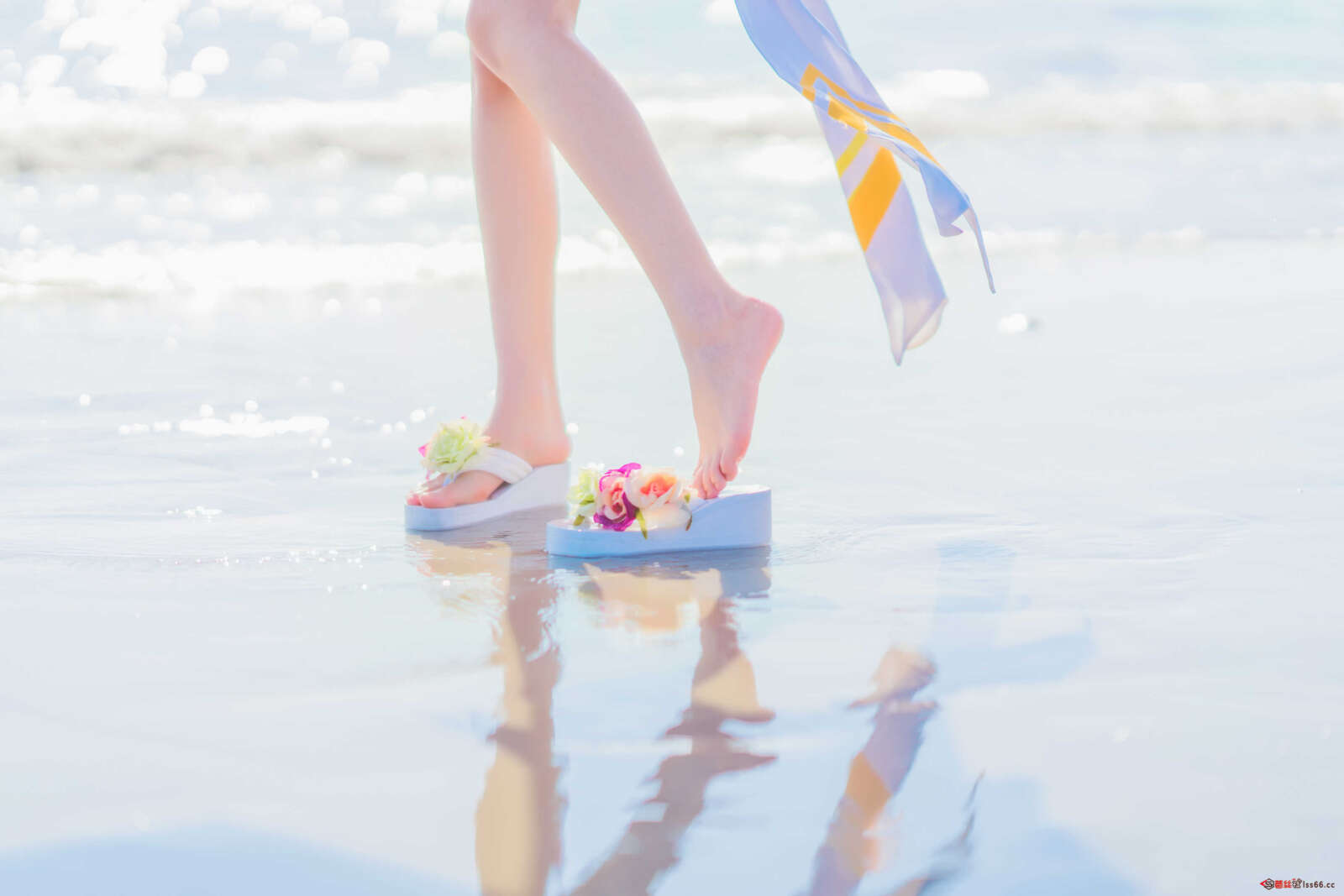 https://www.lss77.com/wp-content/uploads/2021/01/0026-4-1600x1067.jpg