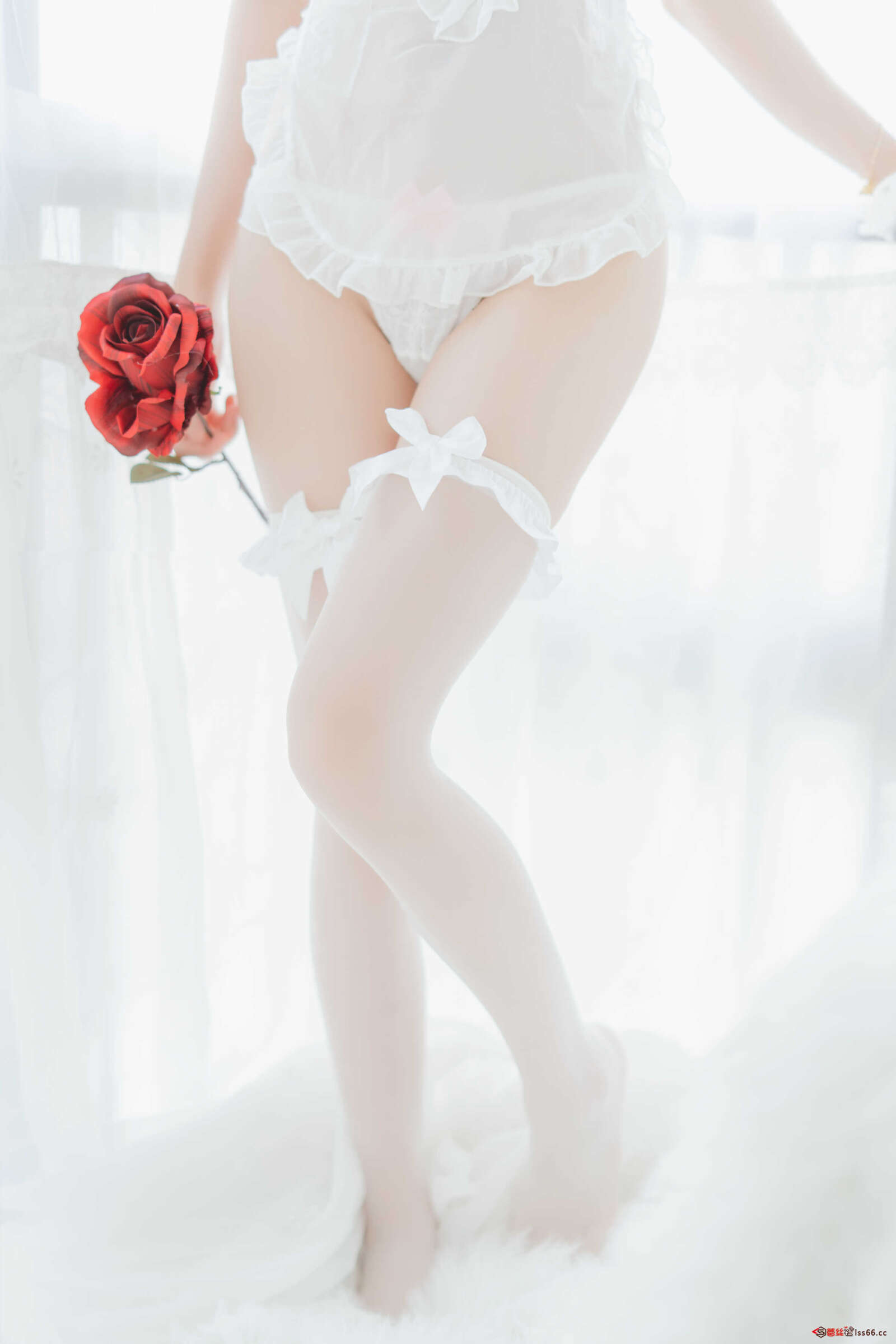 https://www.lss77.com/wp-content/uploads/2021/01/0027-3-1600x2398.jpg